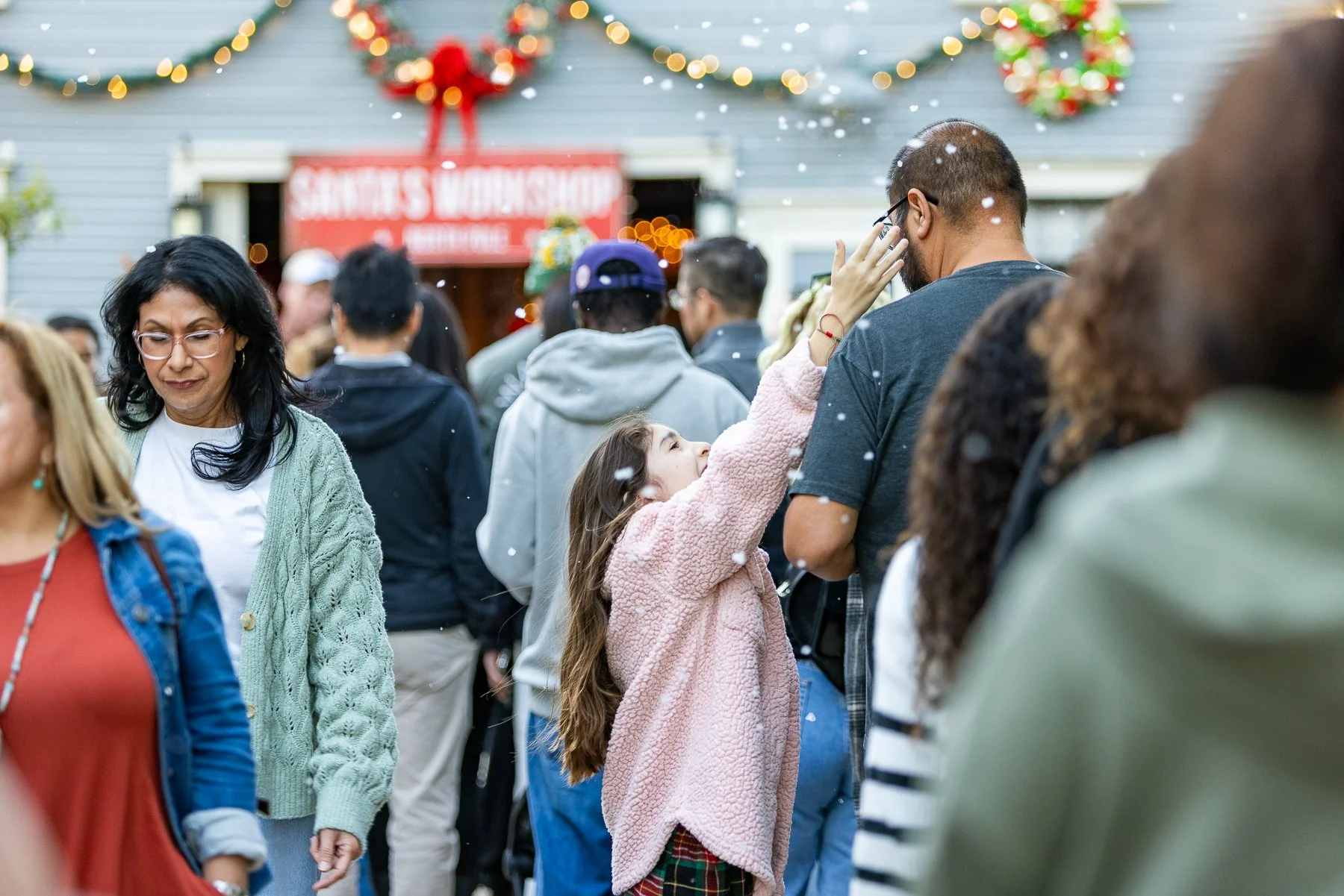 2025 Winter in Willmore