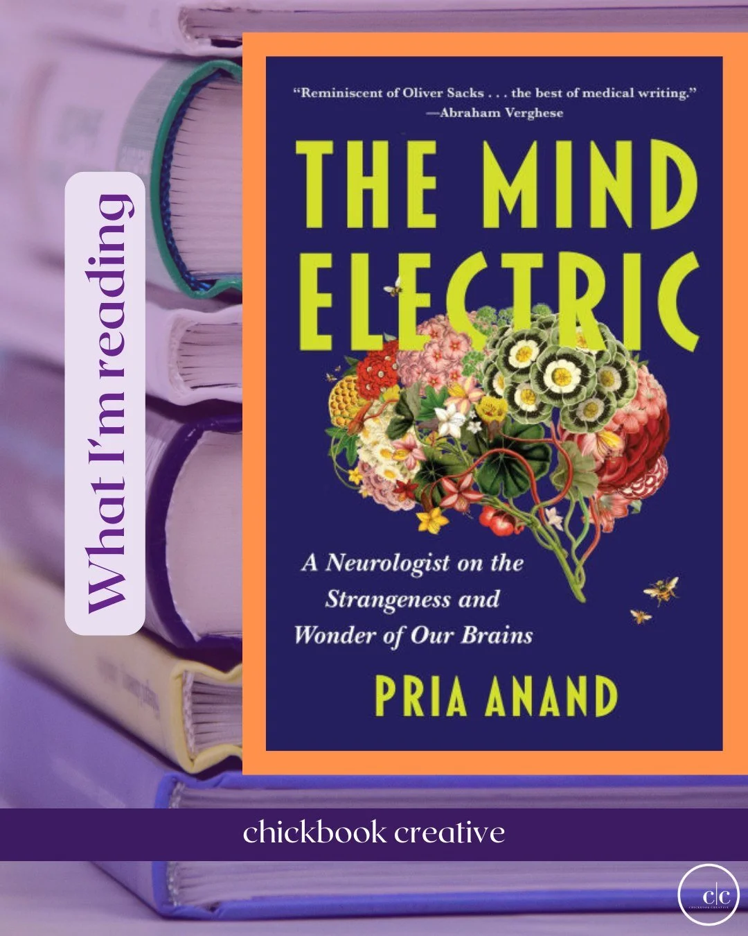 What I&rsquo;m reading: The Mind Electric: A Neurologist on the Strangeness and Wonder of Our Brains by Pria Anand

Stories are etched into the very structure of our brains, coded so deeply that the impulse for storytelling survives and even surges a