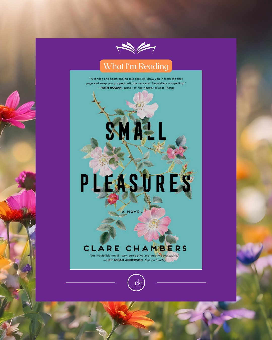 What's Inspiring Me: Small Pleasures by Clare Chambers

I found Clare Chambers because Kate Hollis sent me Shy Creatures, and I fell hard for how she writes people &mdash; the quiet, specific, almost-too-true details of how we actually behave. So I w