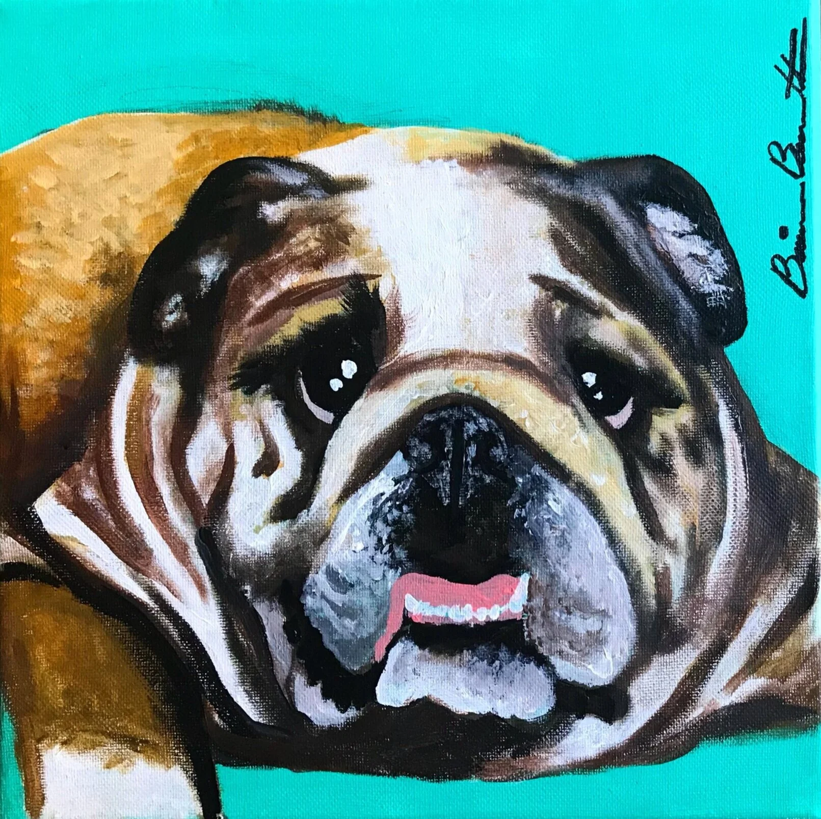 A Bulldog