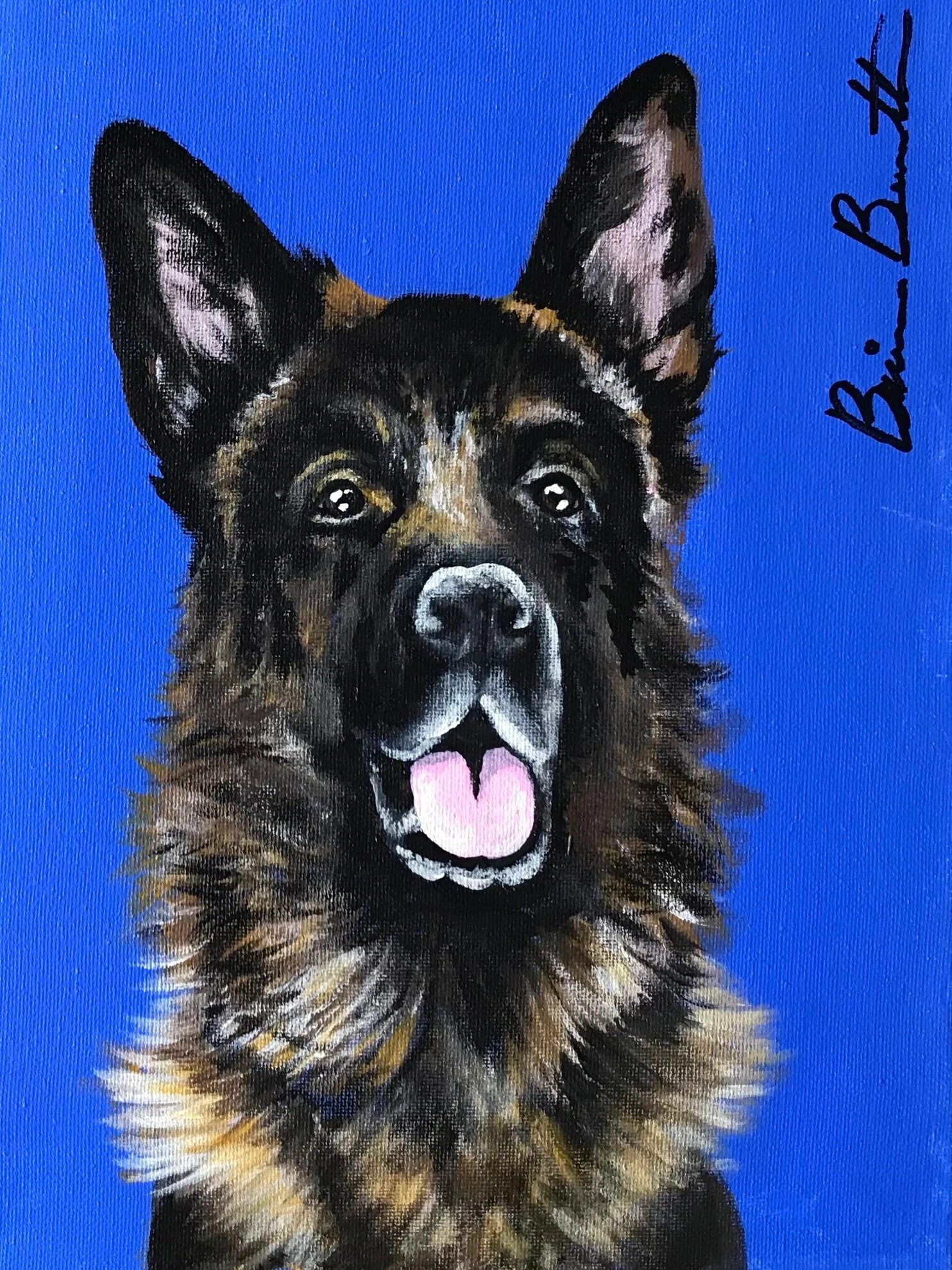 German Shepherd