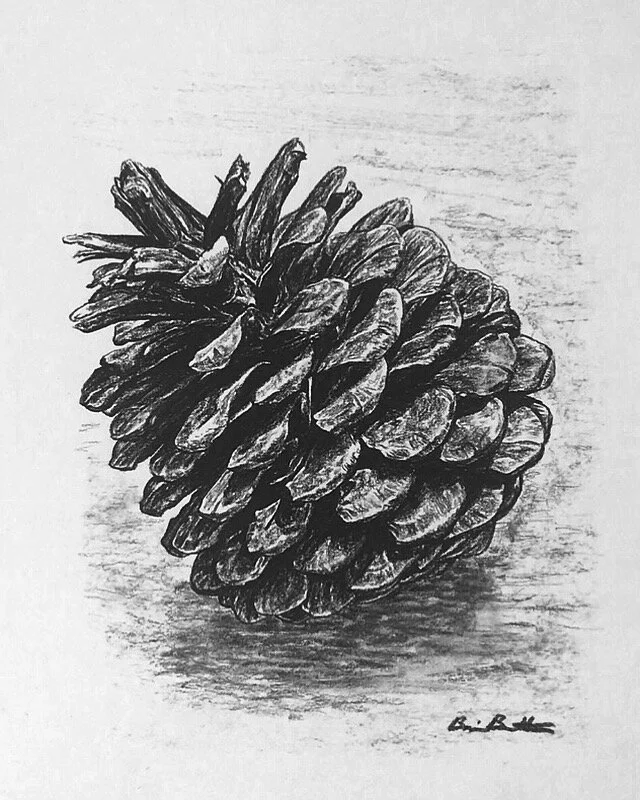 Pinecone -- SOLD