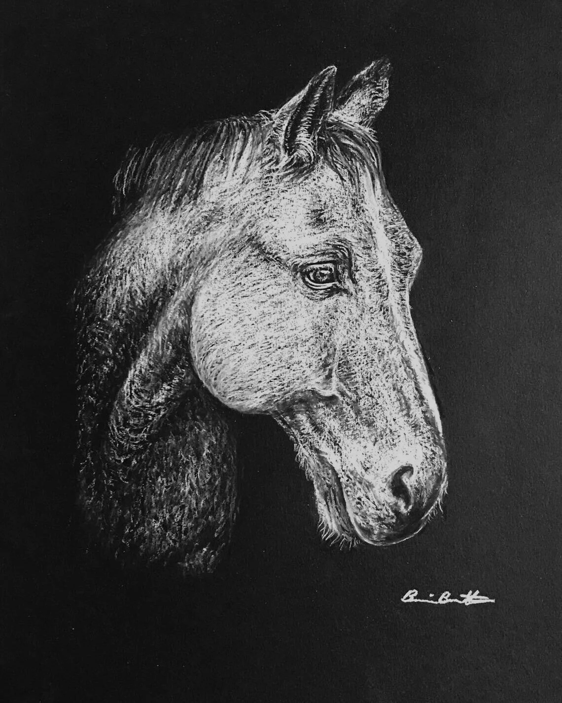 Proud Horse -- SOLD