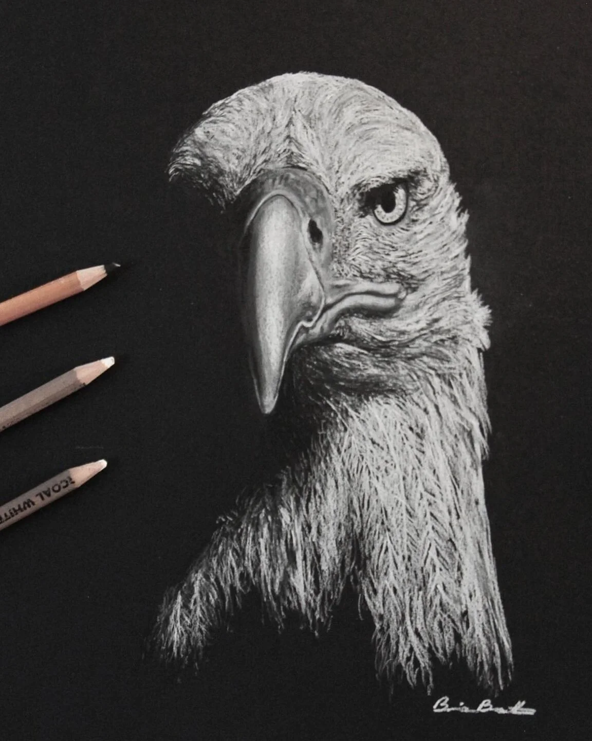 Wild Eagle -- SOLD