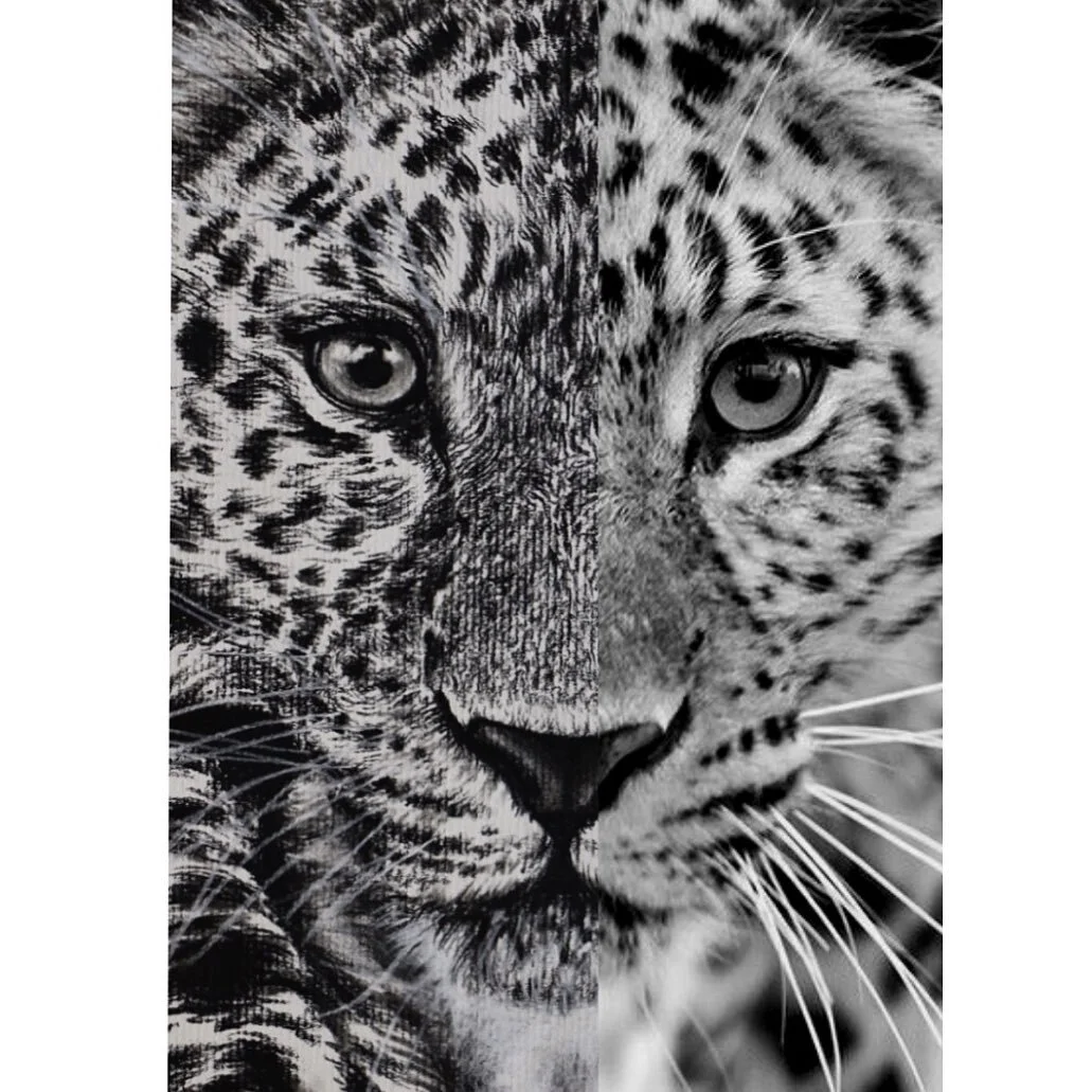 Portrait vs Photo 😊

Throwing it back to this Amur Leopard that I drew some weeks back! 
&bull;
&bull;
&bull;
&bull;
&bull;
&bull;
&bull;
#amurleopard #amurtiger #art #artistsoninstagram #artwork #artist #artoftheday #artgallery #artistsofinstagram 
