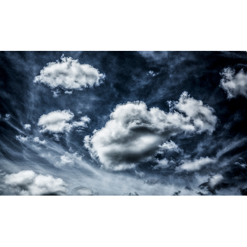 Whale of a Cloud2021-01-17-at-1.47.03-PM_result.png