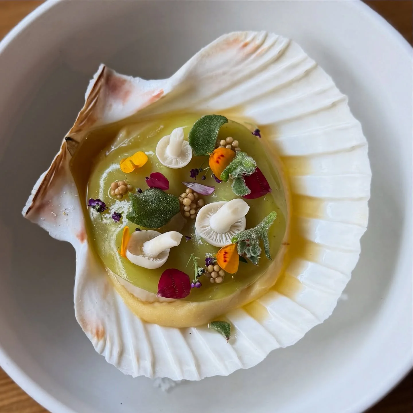 Tonight kicks off our Greatest Hits Tasting Menu, as we celebrate 1️⃣3️⃣ years of PCo! First up, our baked scallop with miso parsnip, brown butter, and an herb veil. A favorite from our first year that some of us still ask for...often. (It's me.🙋🏻&