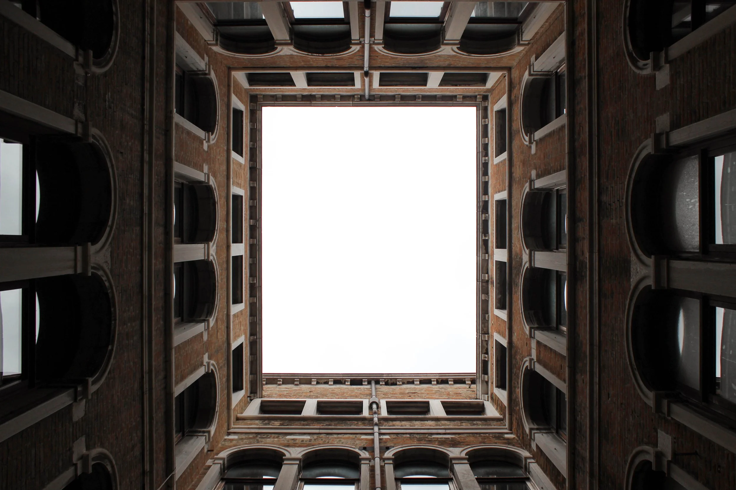 7. Looking Up_AMG_9935 (22).jpg