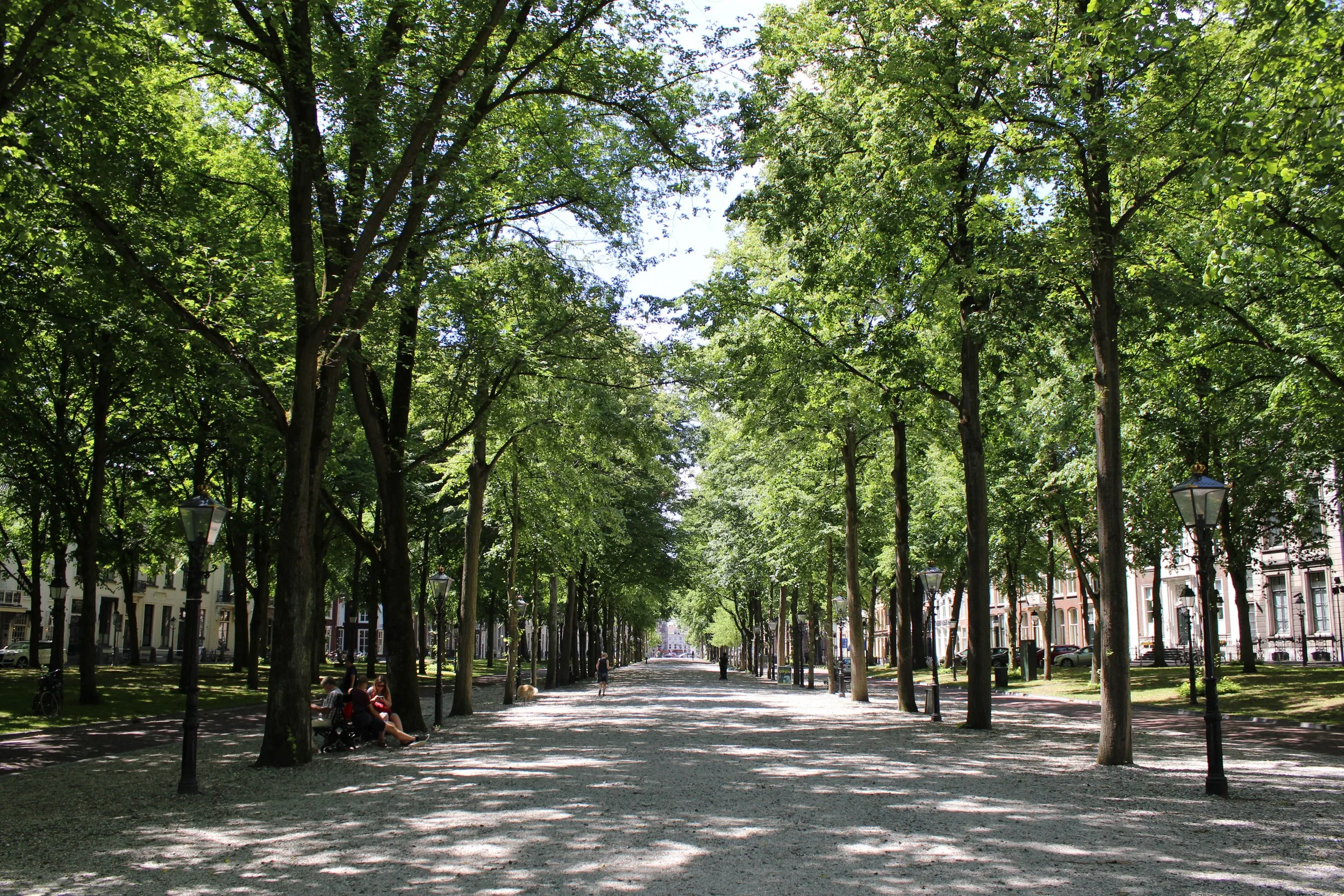 4. Street Views_IMG_2845.jpg