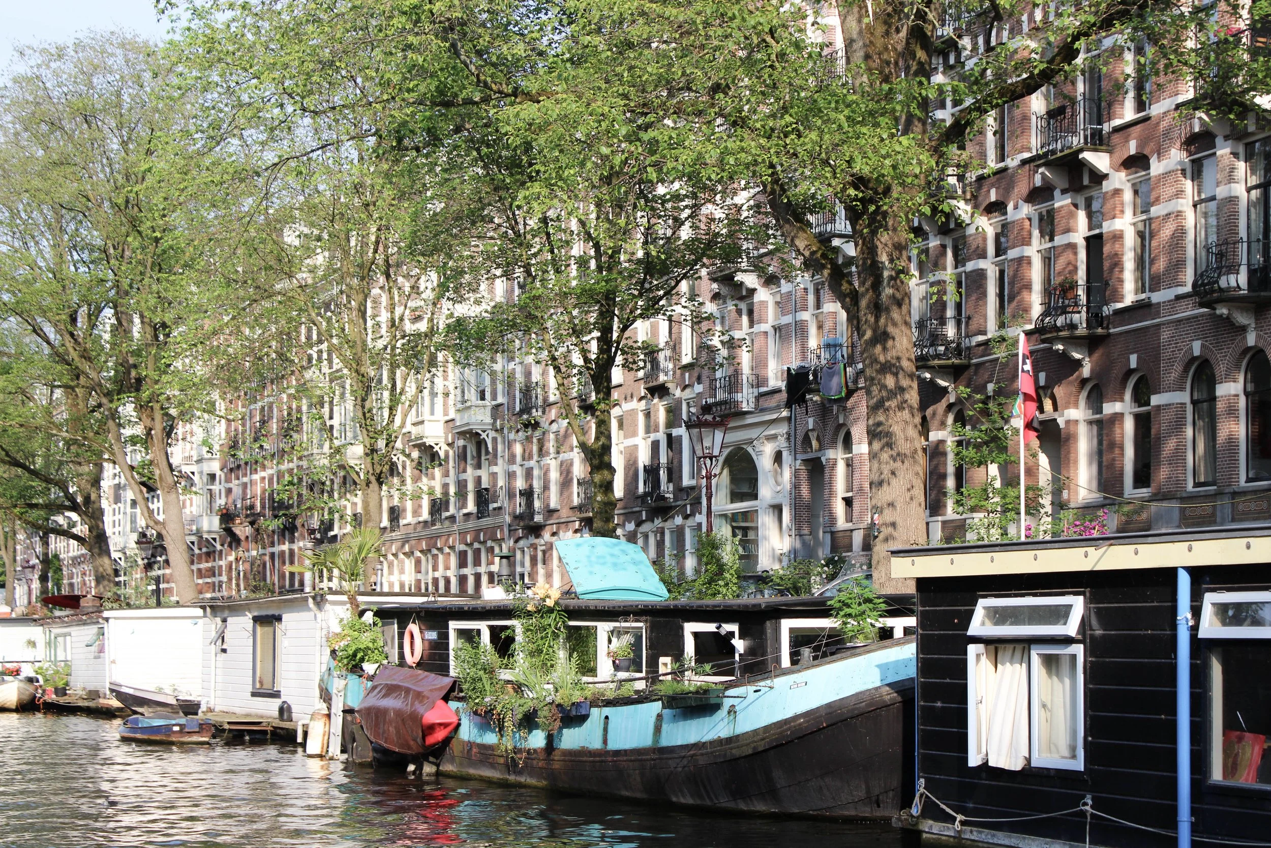 14. Canals_IMG_3874.jpg