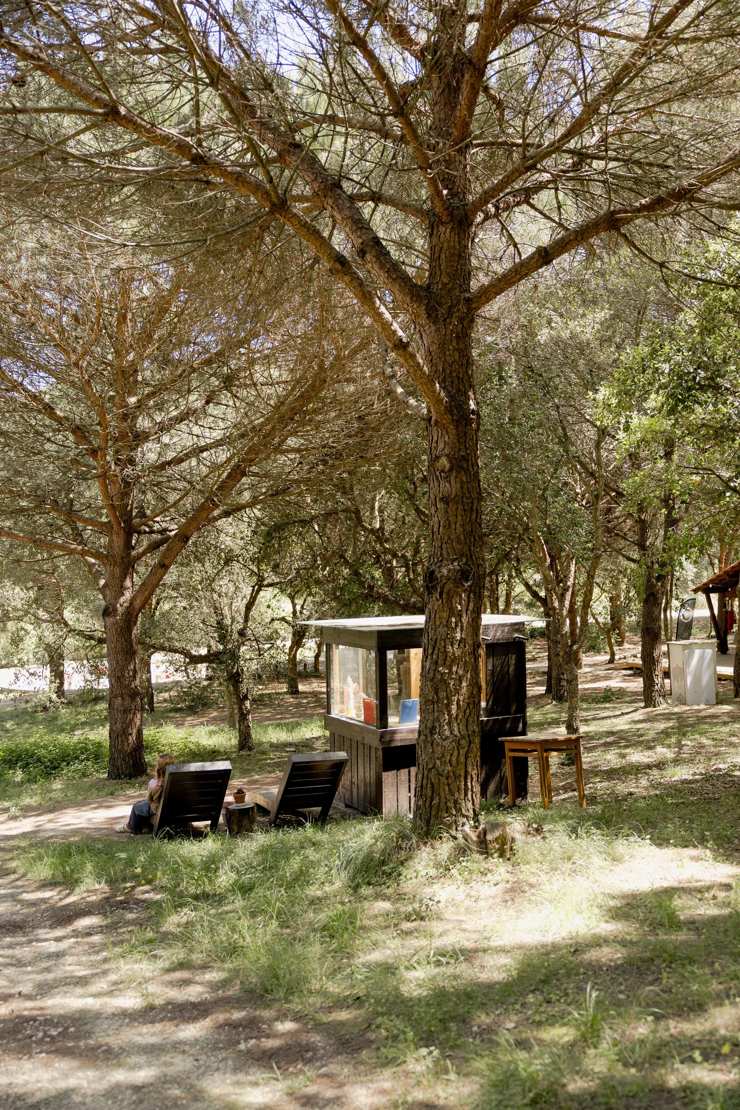 journey_batido (154 de 420).jpg