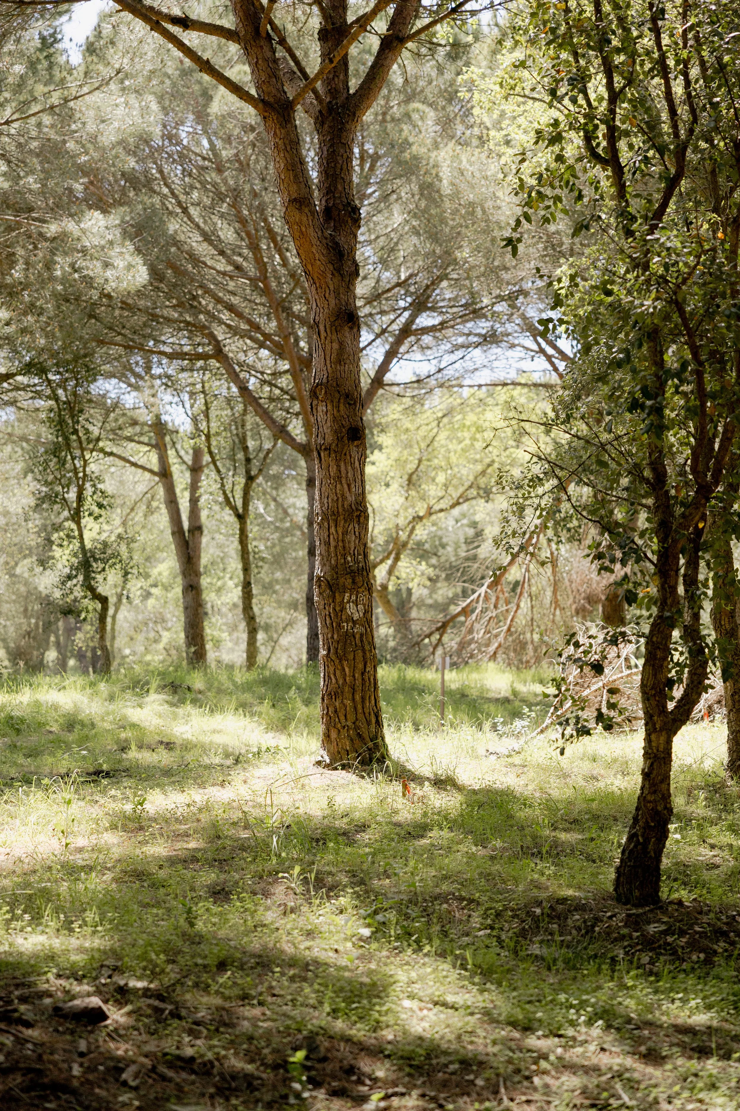 journey_batido (167 de 420).jpg