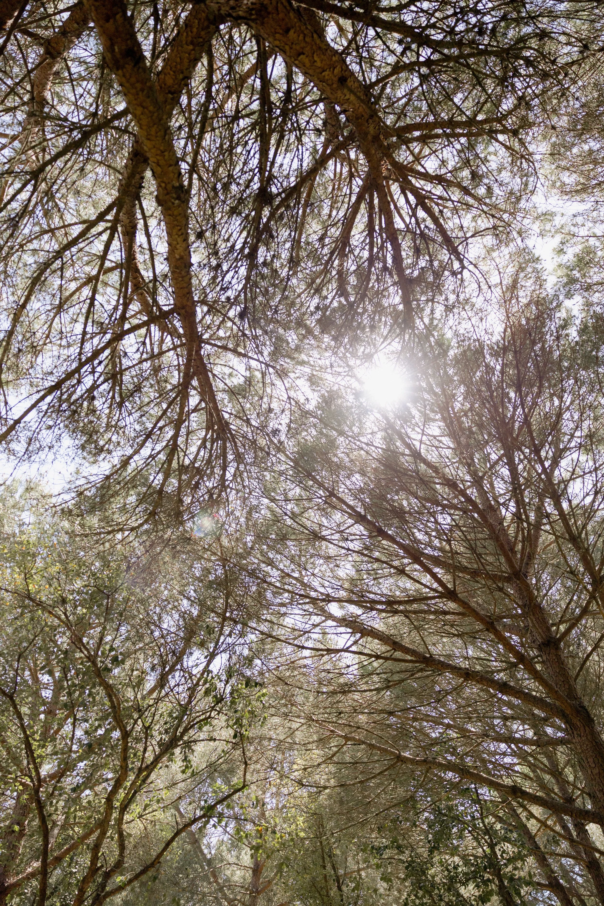 journey_batido (170 de 420).jpg