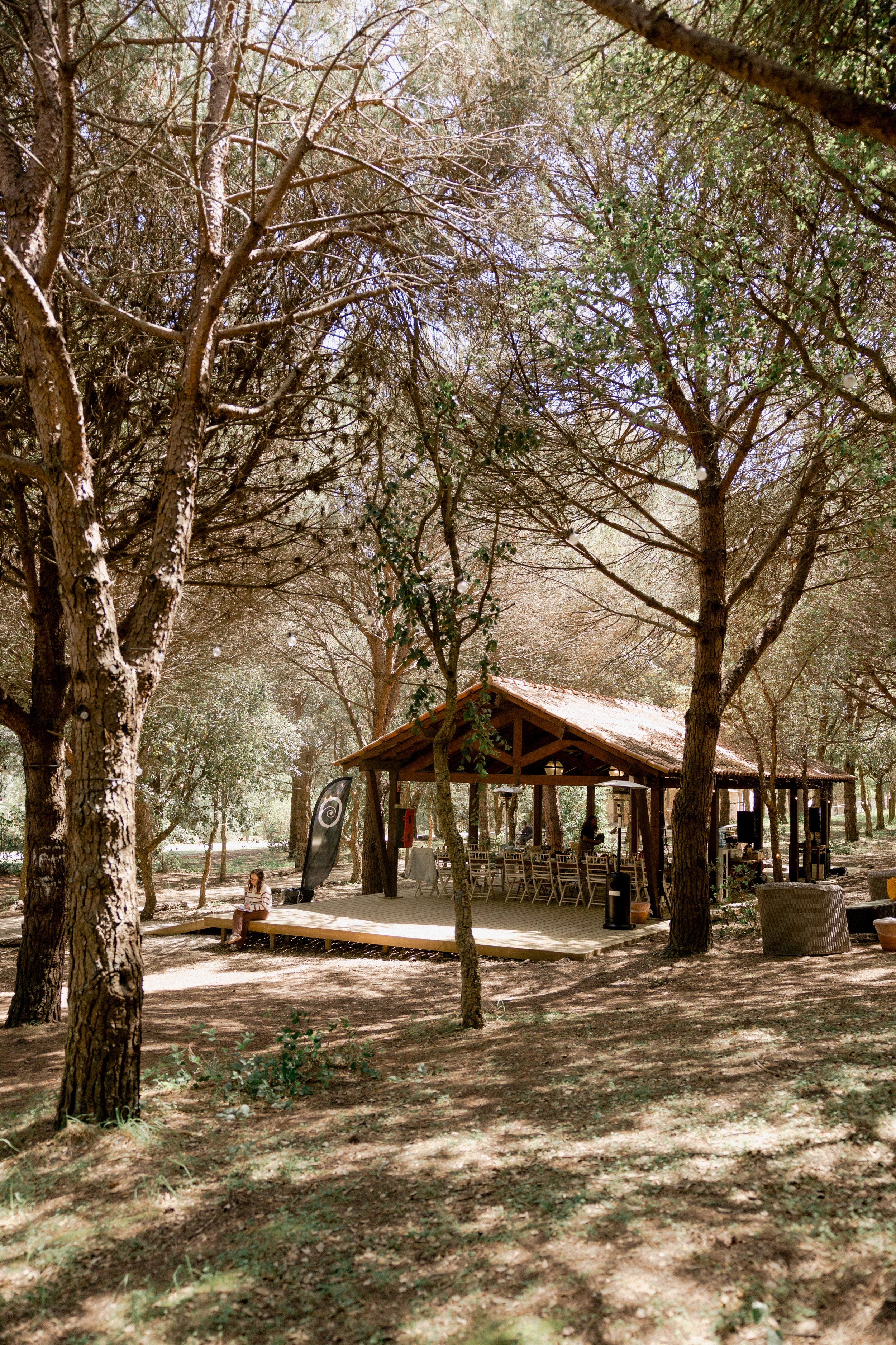 journey_batido (124 de 420).jpg