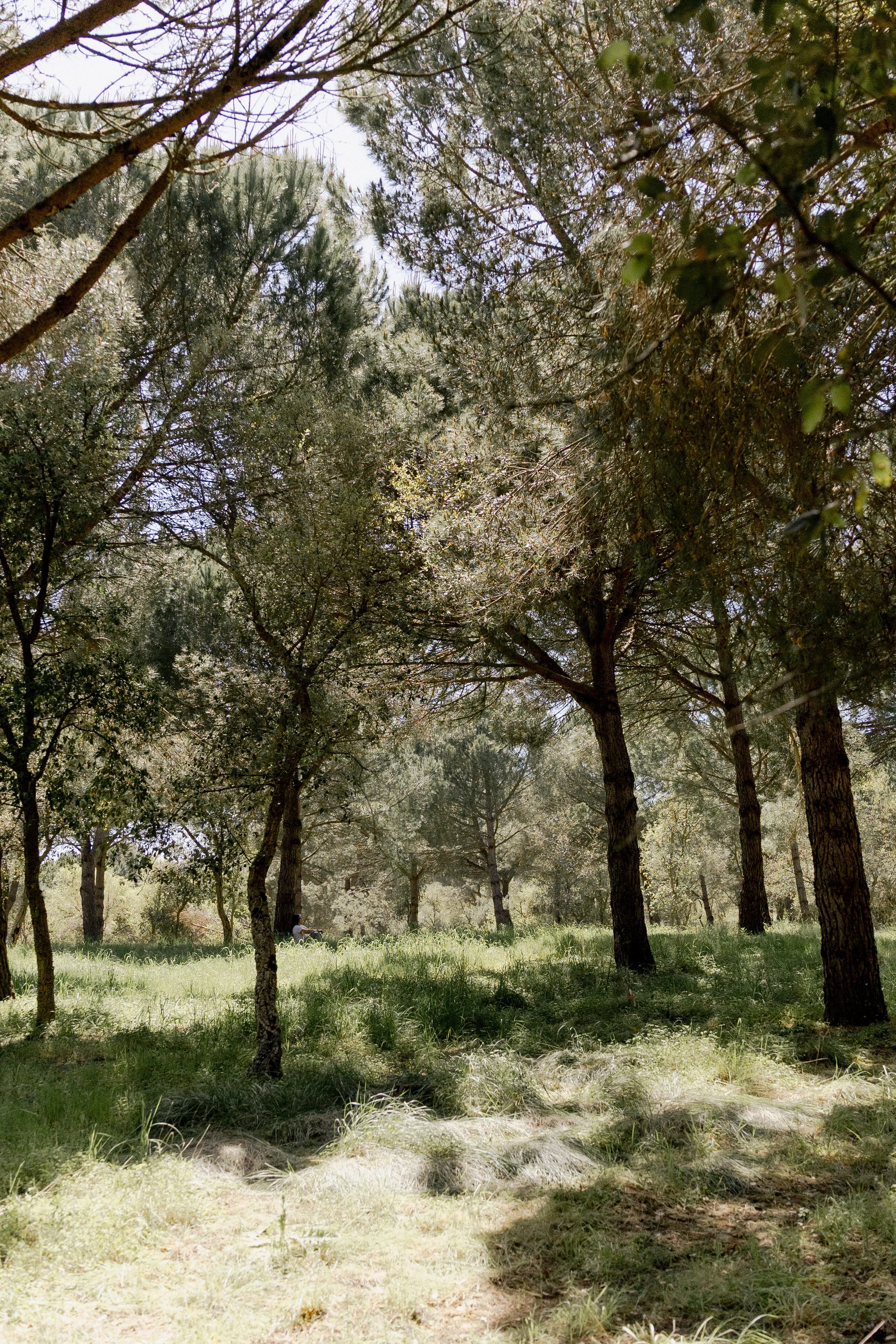 journey_batido (157 de 420).jpg