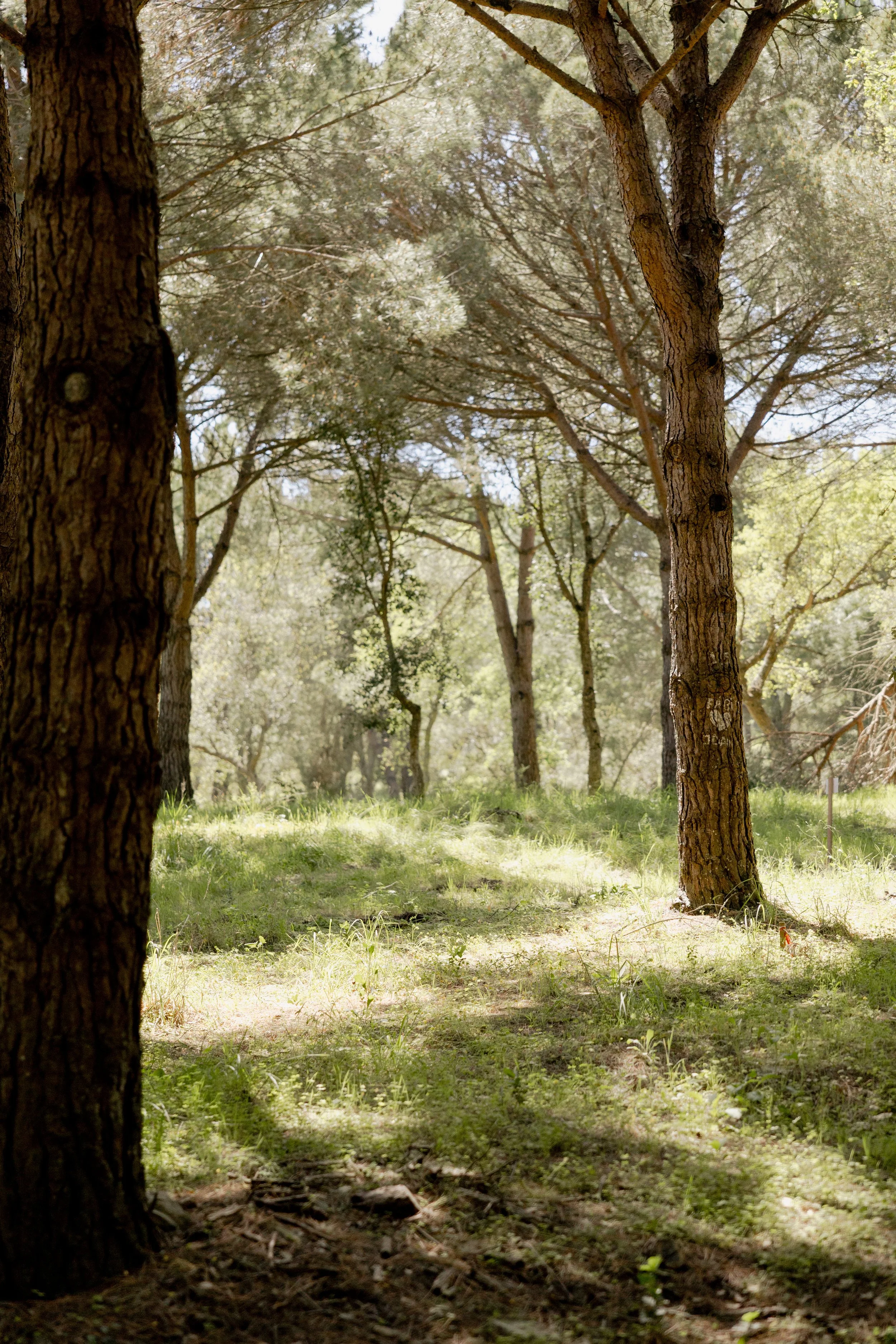 journey_batido (168 de 420).jpg