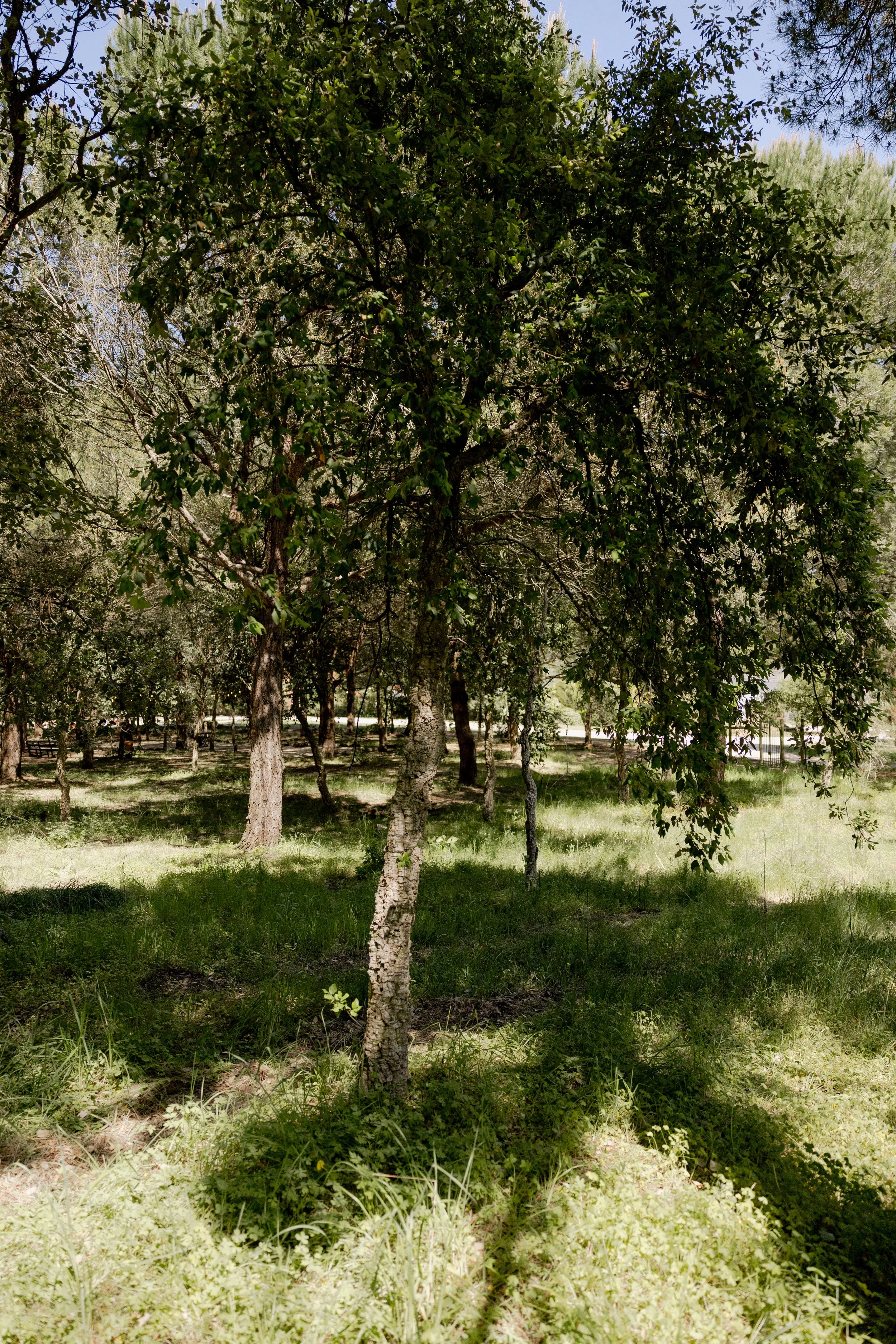 journey_batido (162 de 420).jpg