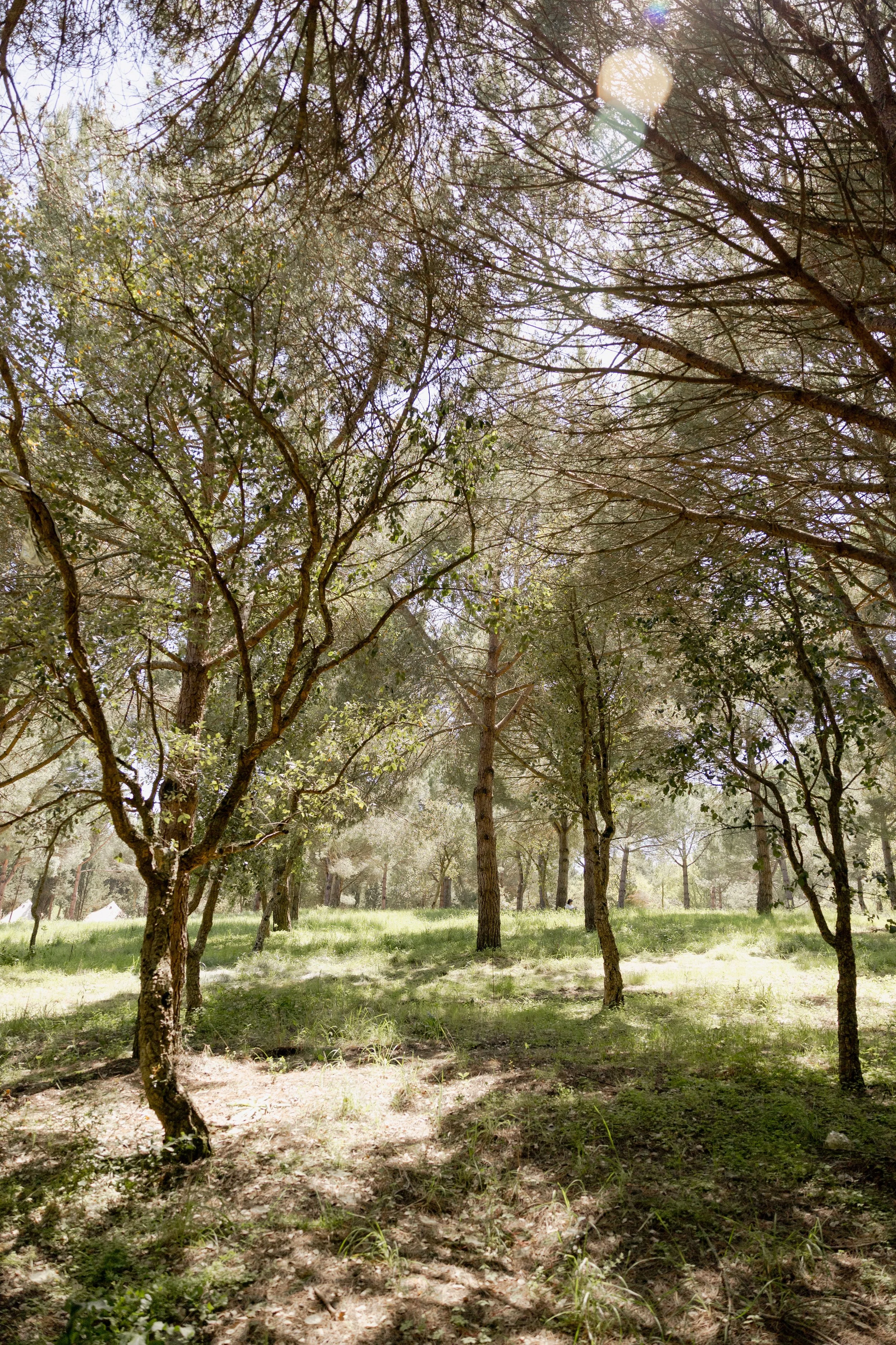 journey_batido (169 de 420).jpg