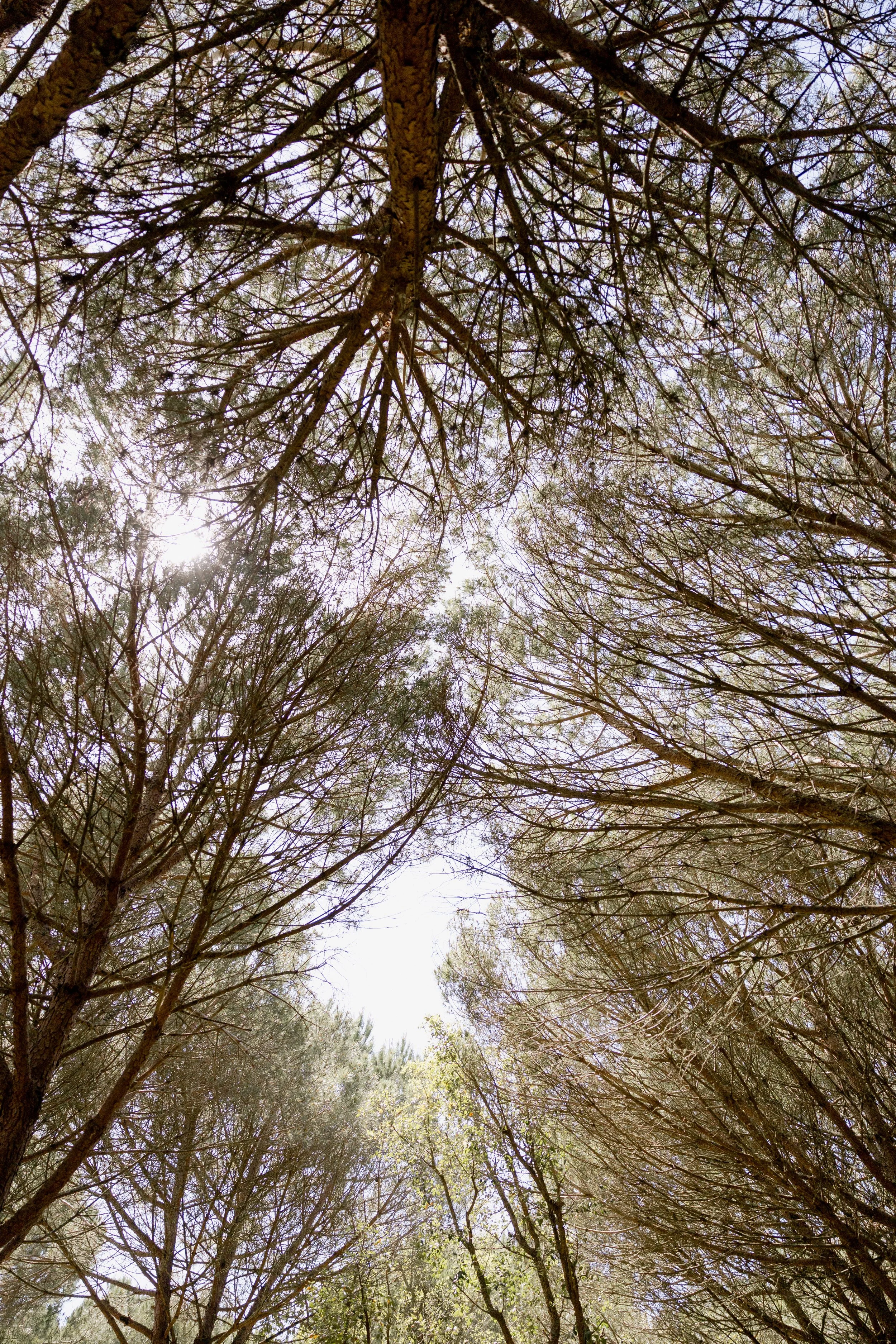 journey_batido (171 de 420).jpg