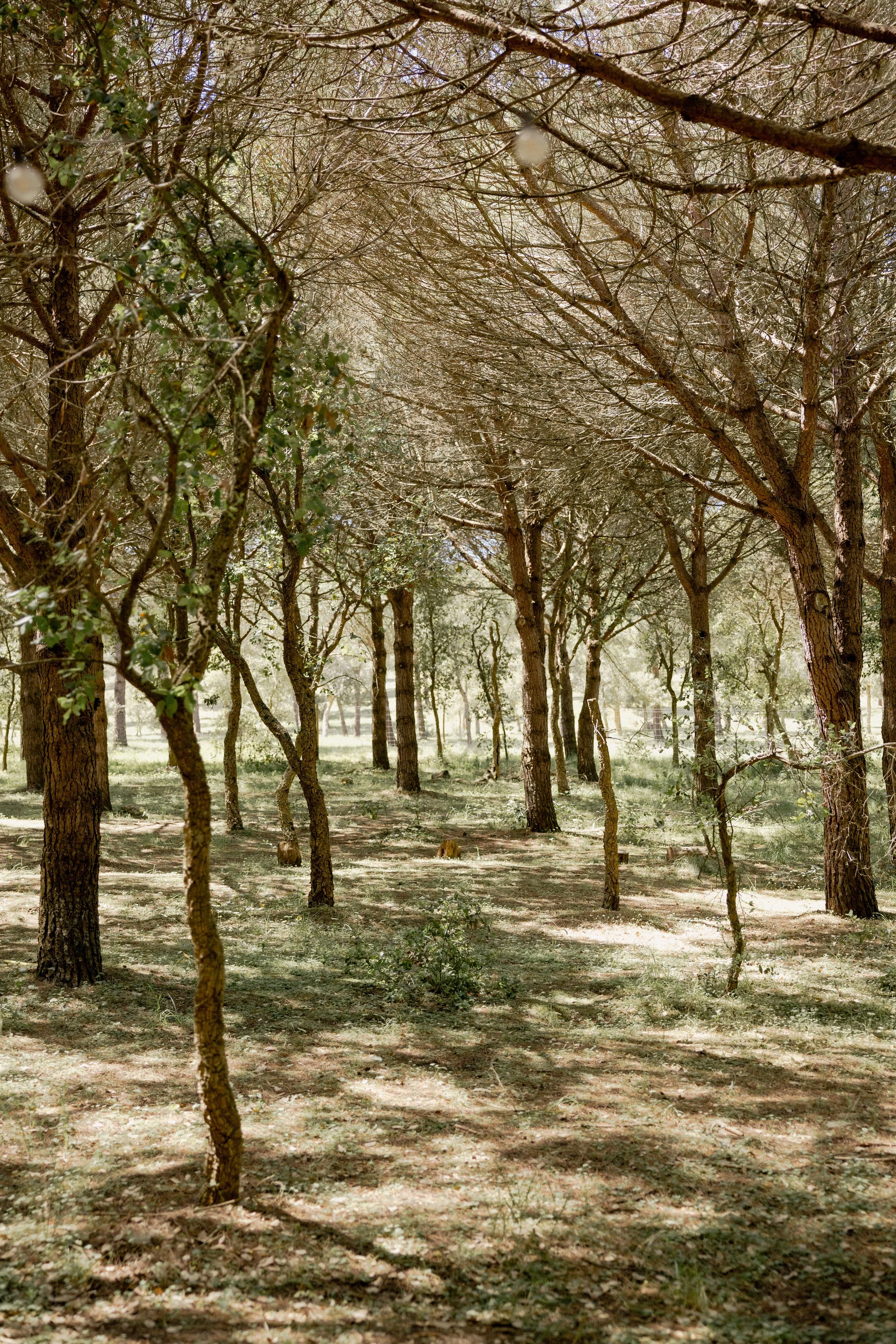 journey_batido (149 de 420).jpg