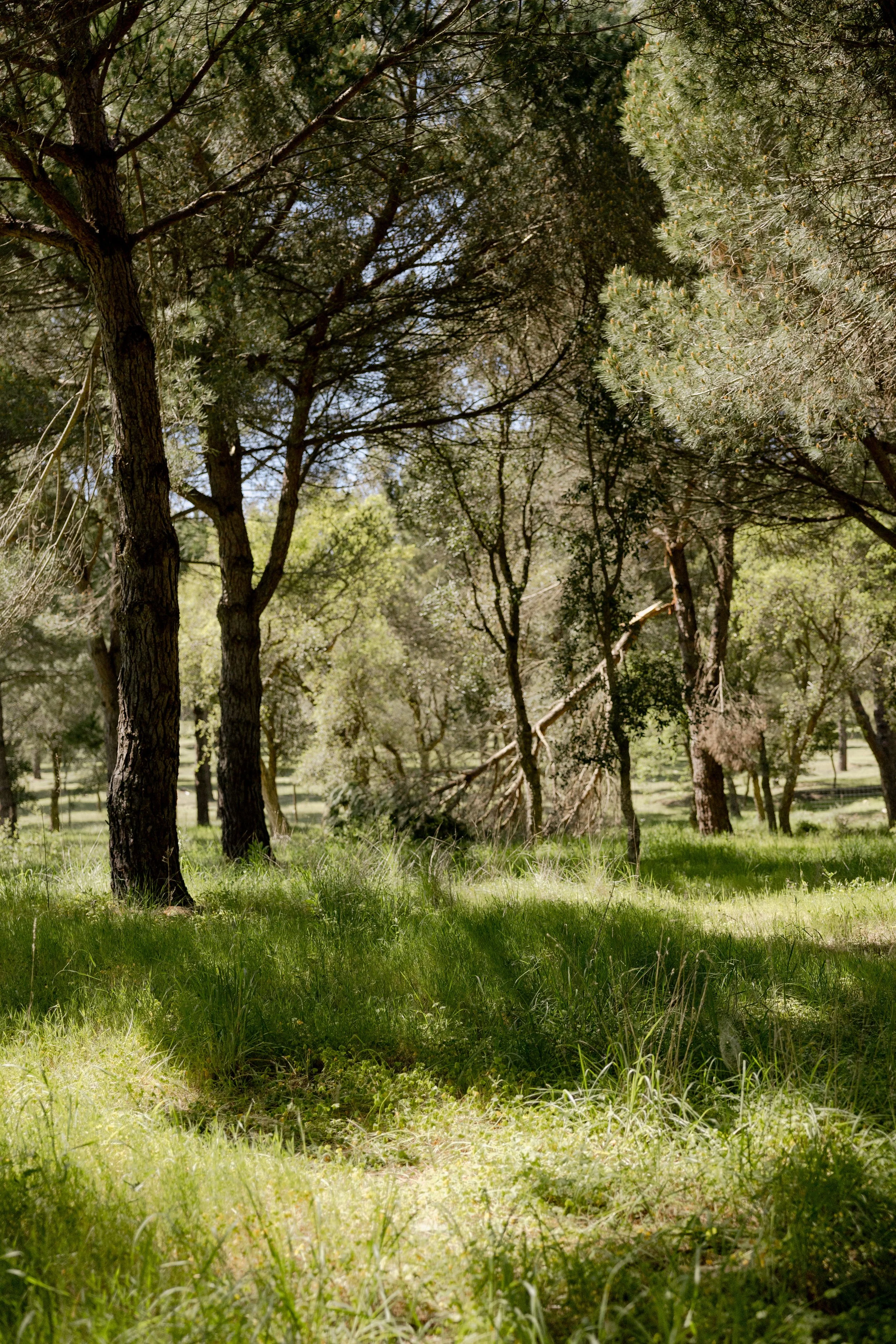 journey_batido (161 de 420).jpg