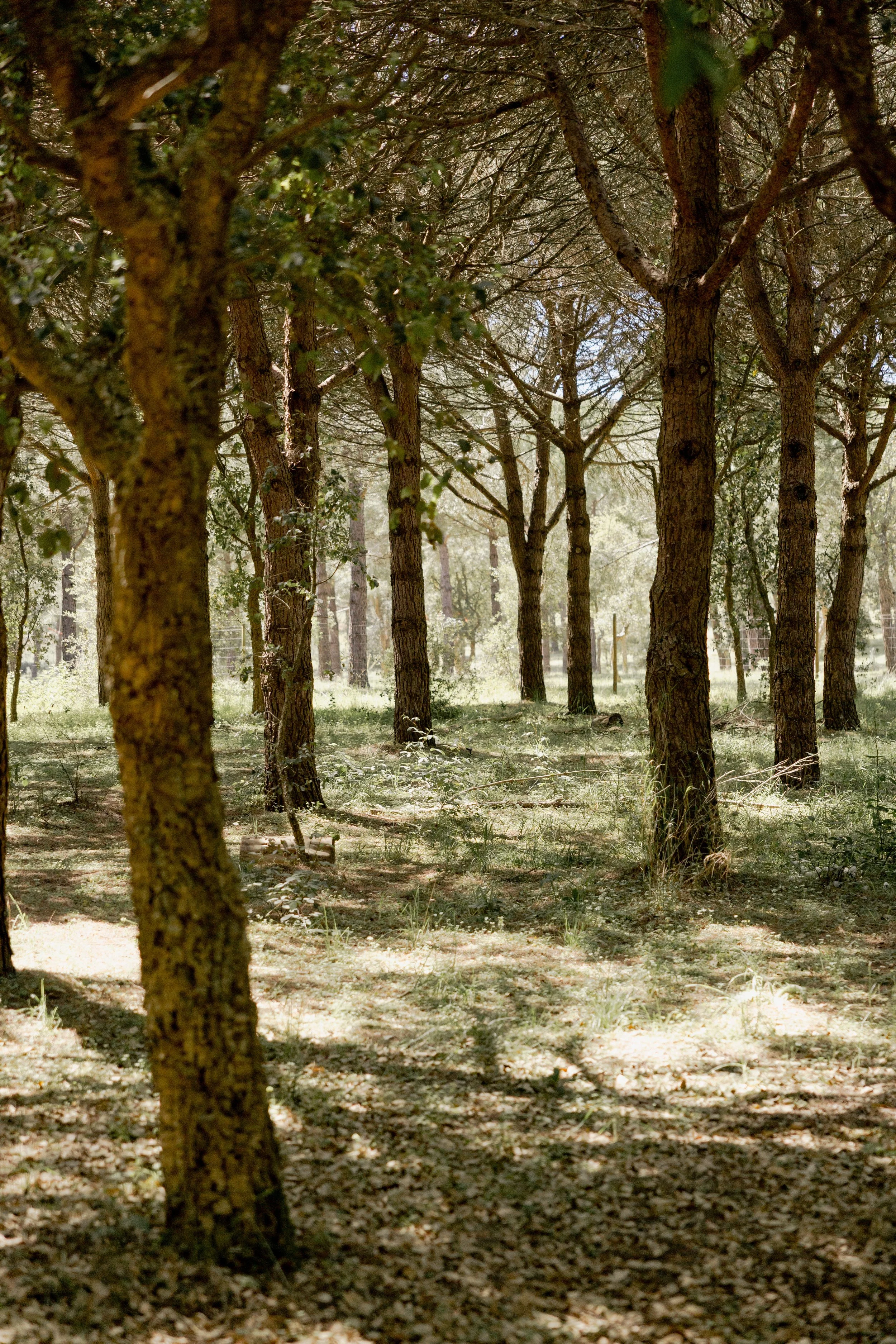 journey_batido (151 de 420).jpg