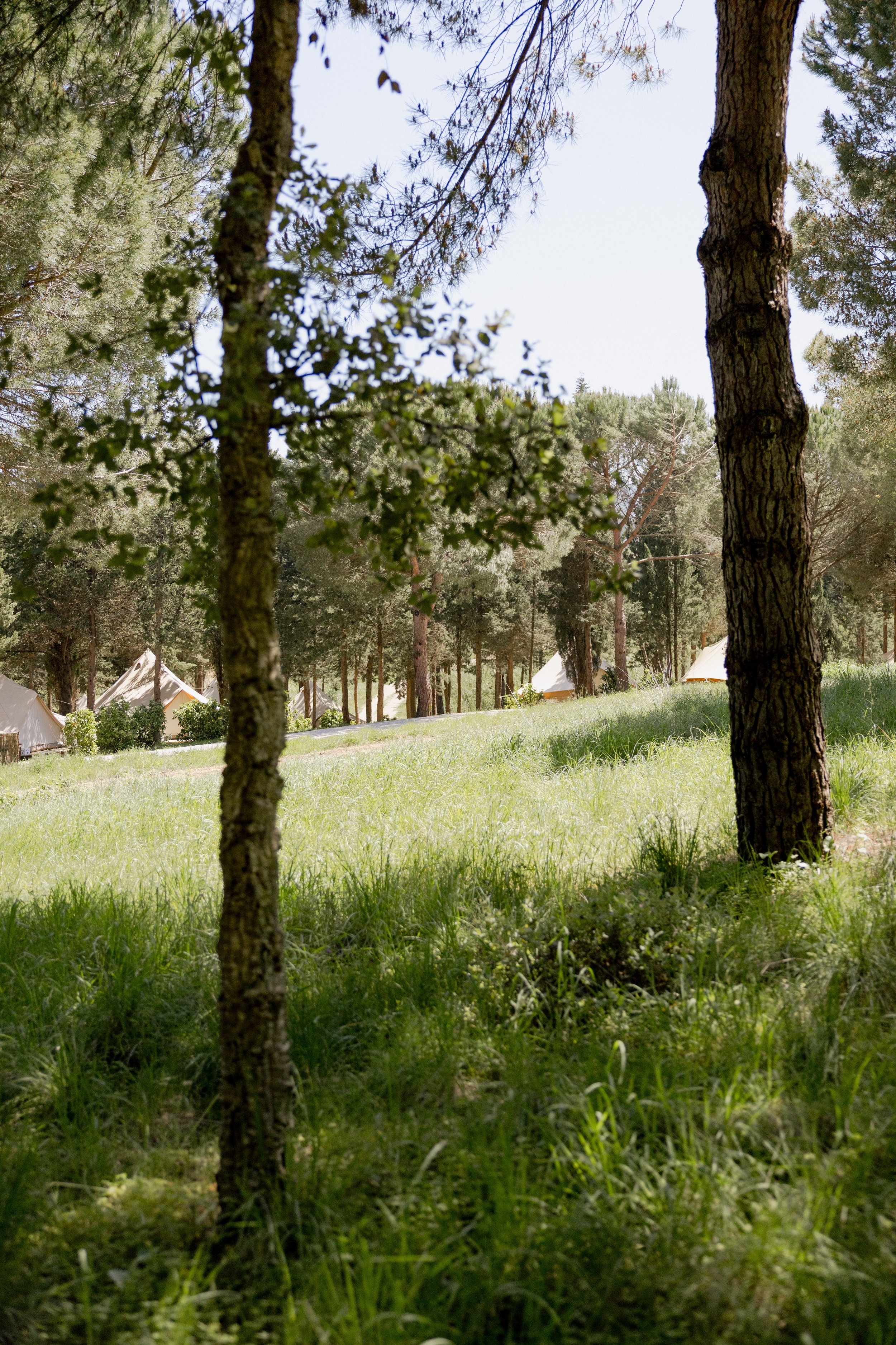 journey_batido (160 de 420).jpg