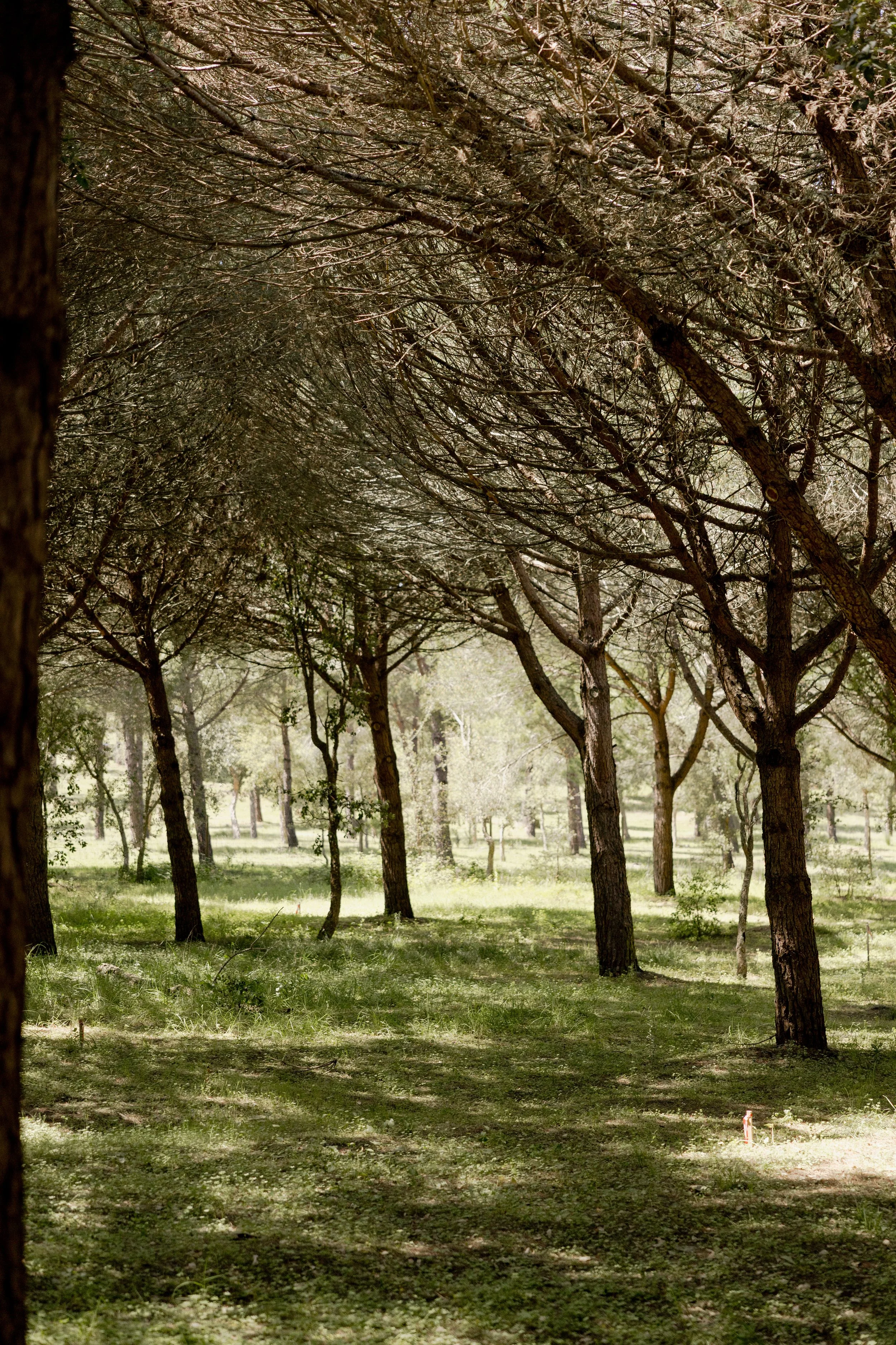 journey_batido (166 de 420).jpg