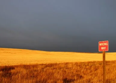 10 Mistakes Photographers Make When Listing Their First NFT