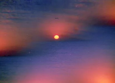 An NFT Collector on the Future of Photography and Curation in Web3