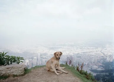 Assembly Curated: Bringing Fine Art Photography Into the NFT Space