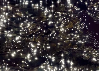 A Photographer’s Mental Health Journey Brings Him to the Water’s Edge