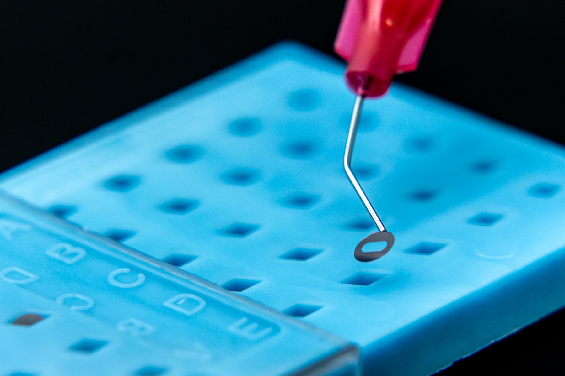 Close-up of a laboratory pipette inserting a small circular object into a blue well plate with multiple wells.