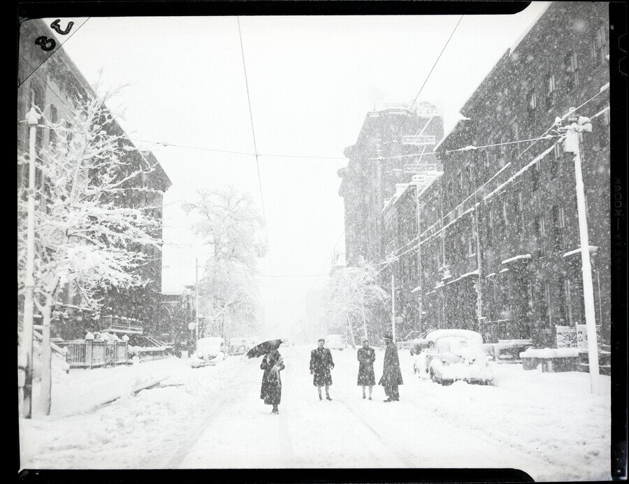 Snow on Palm Sunday, Park Avenue