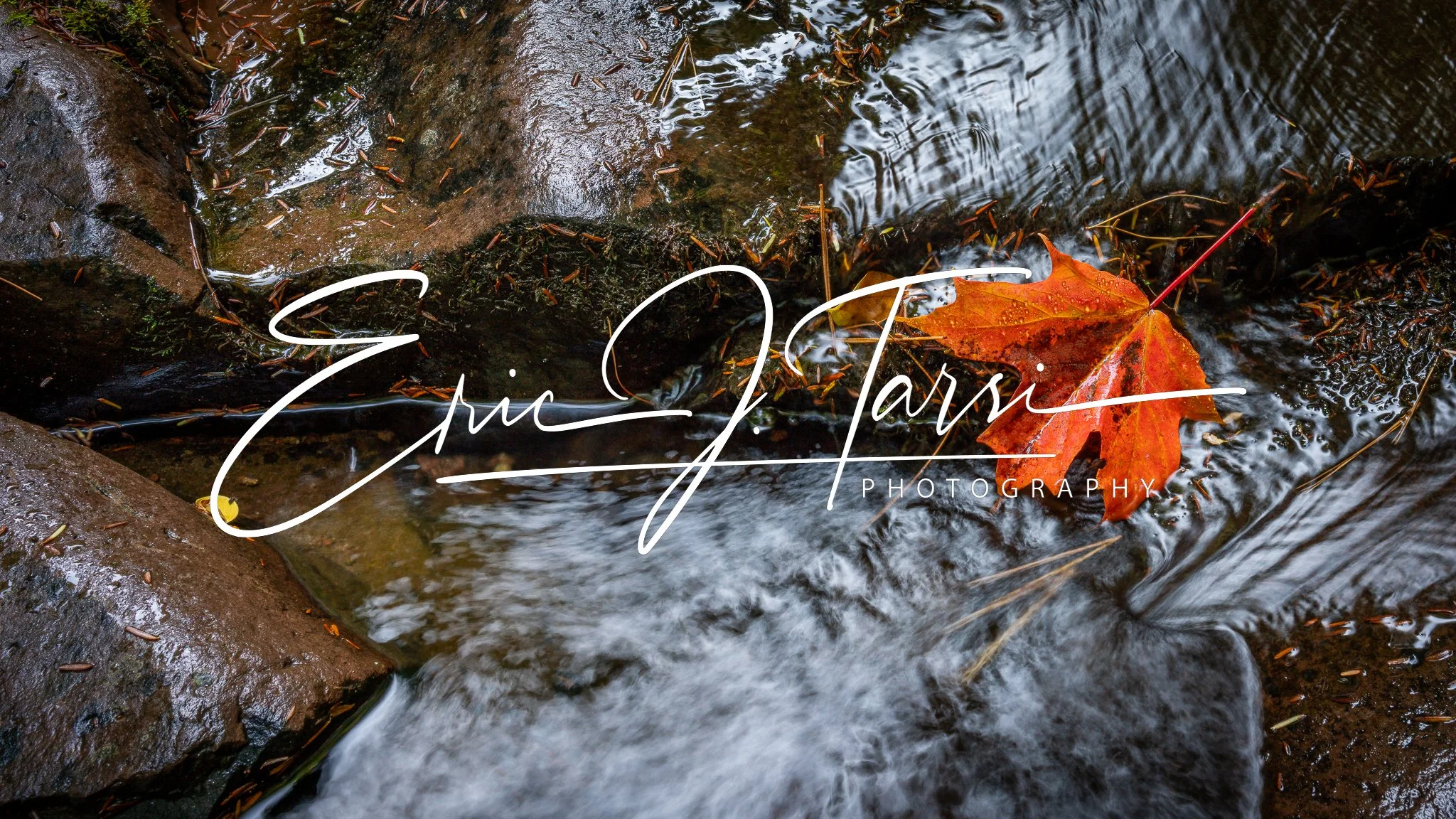 Stream Leaf (16x9).jpg