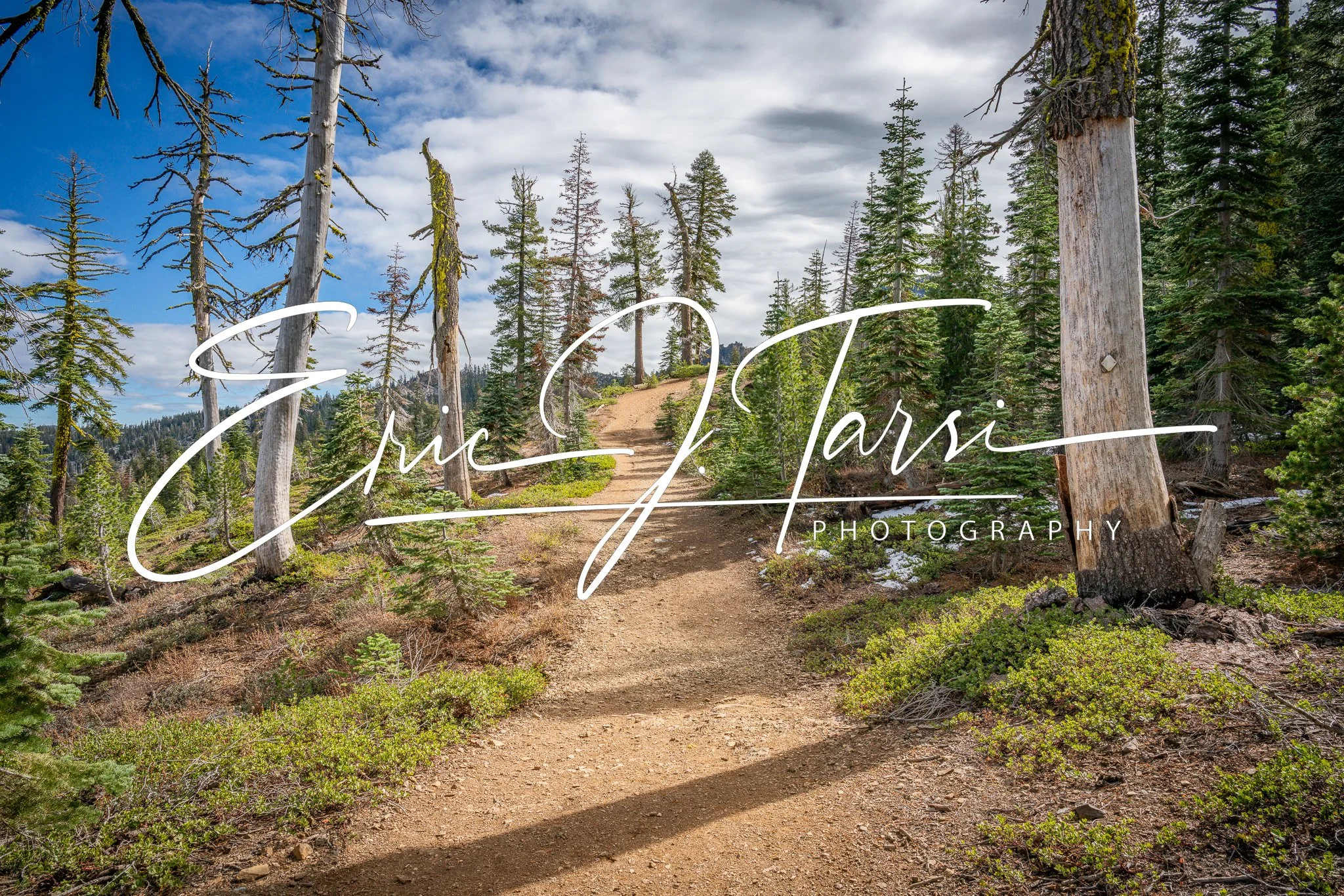 Sierra Buttes Lookout Trailhead (3x2) D.jpg