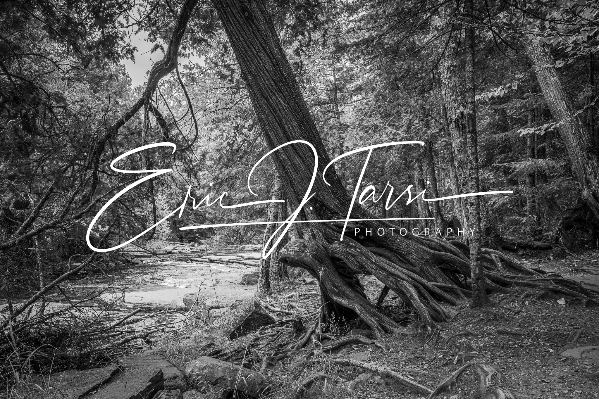 Strong Hold B&W (3x2).jpg