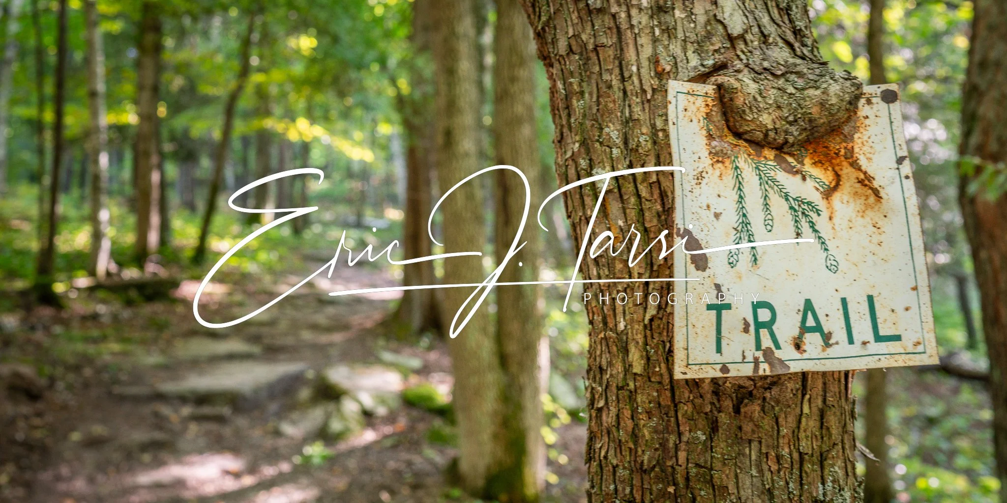 Trail Sign (2x1).jpg