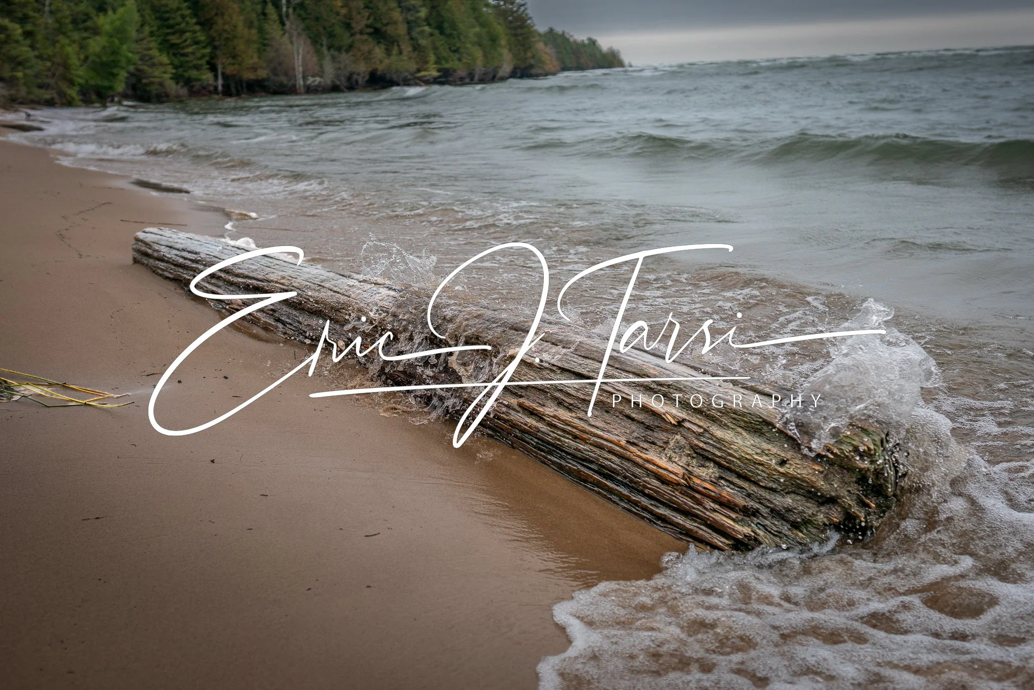 Beached Log (3x2).jpg
