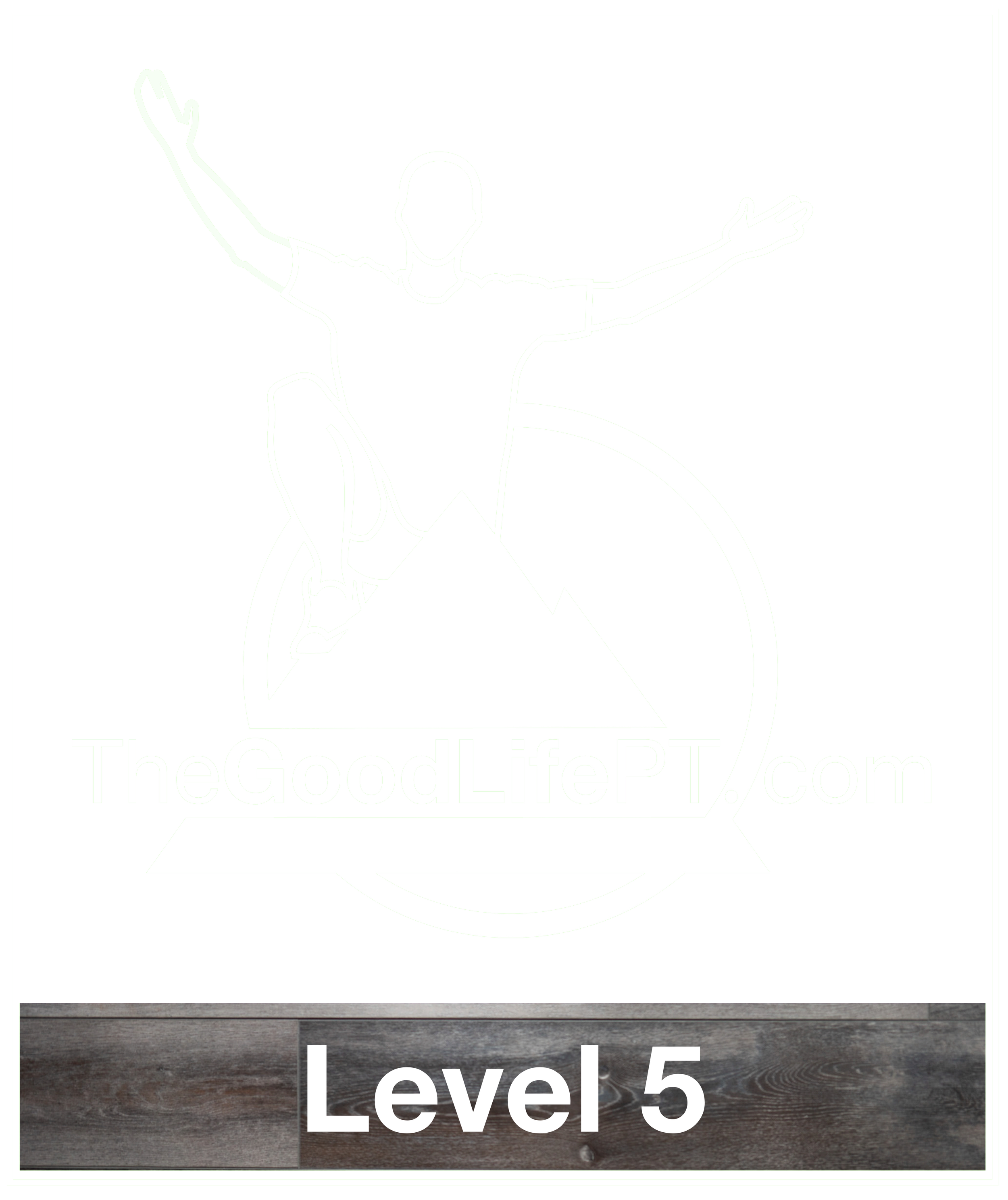 Graphic - Training Level 5 with label PNG.png