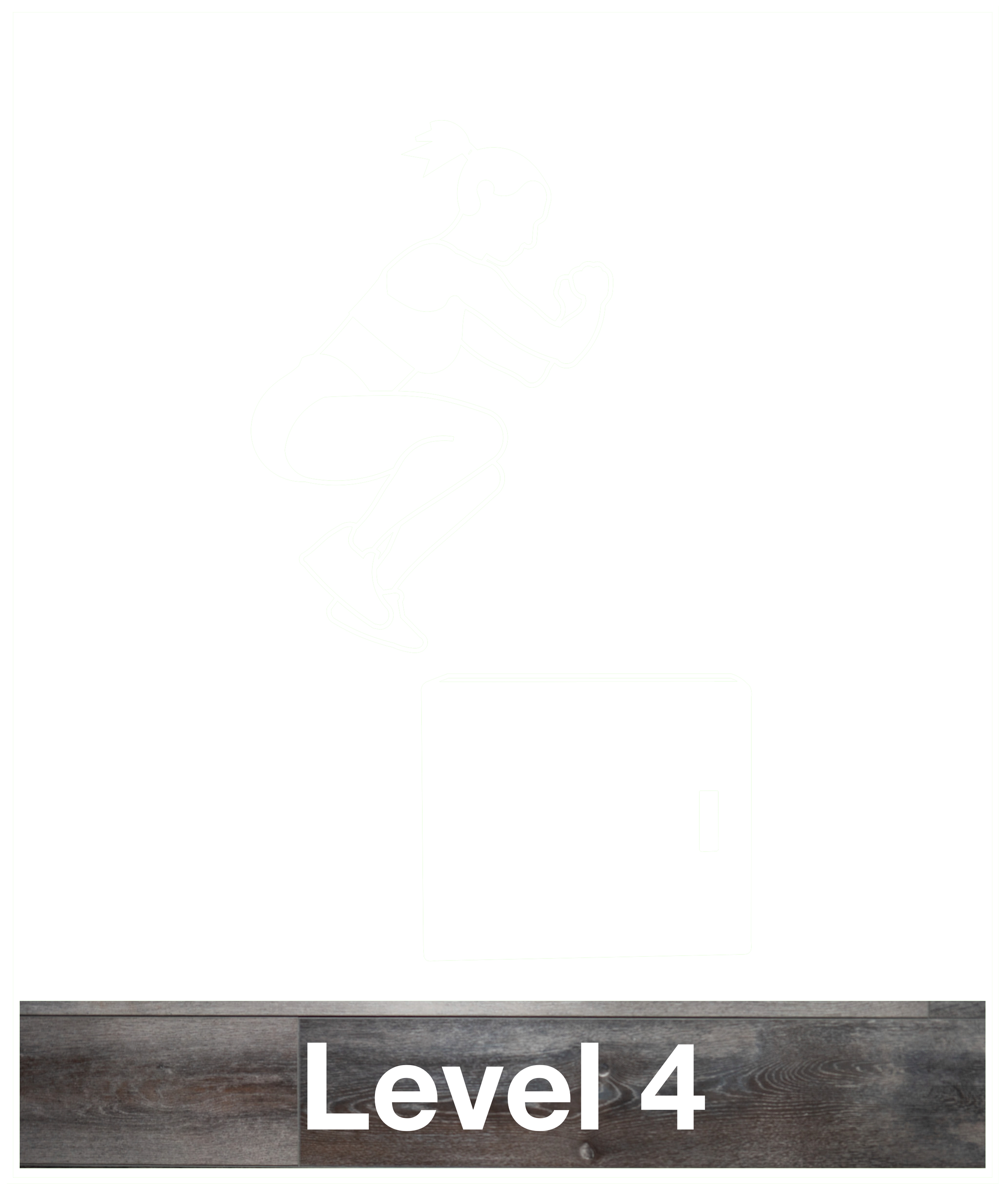 Graphic - Training Level 4 with label PNG.png