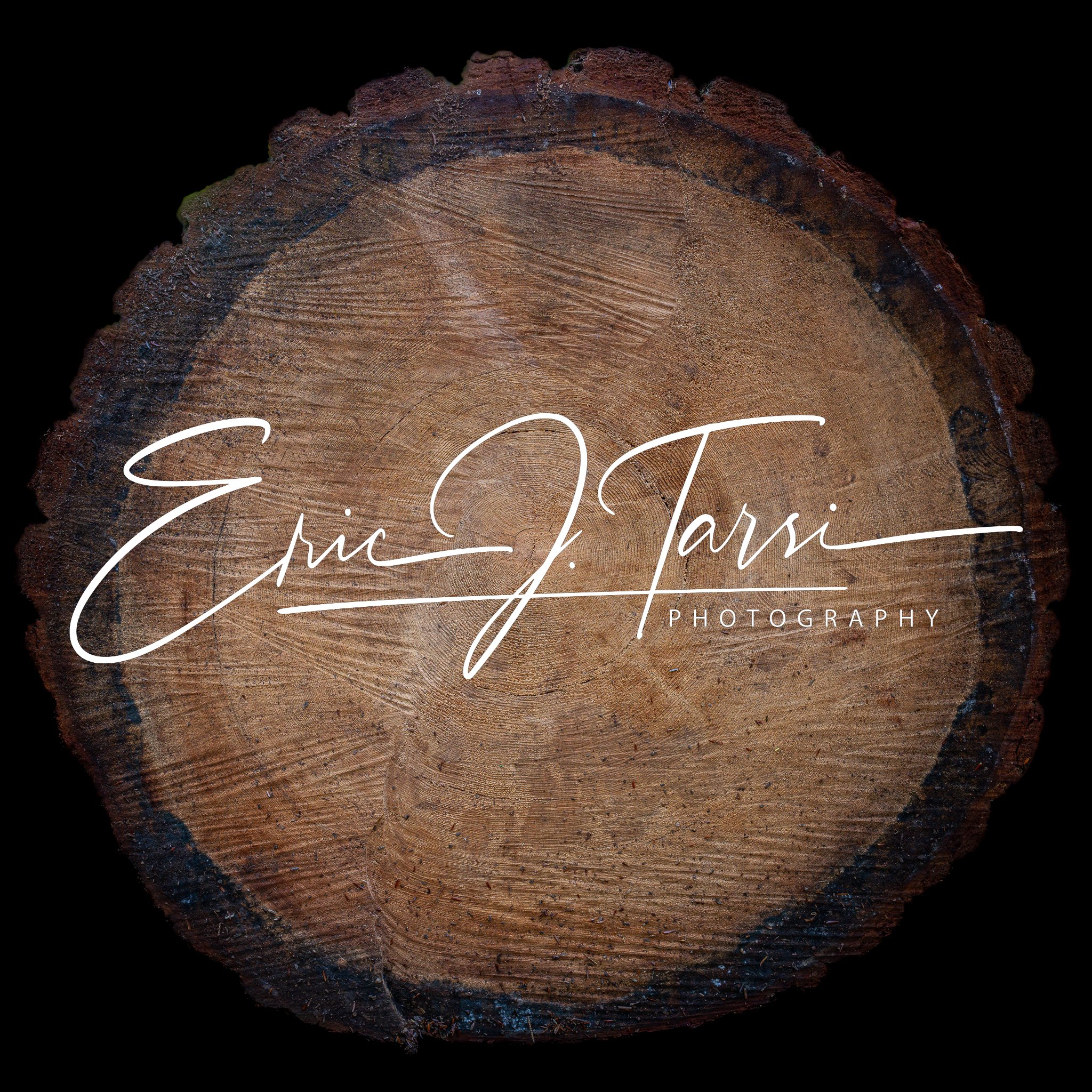 Log Rings  (1x1).jpg