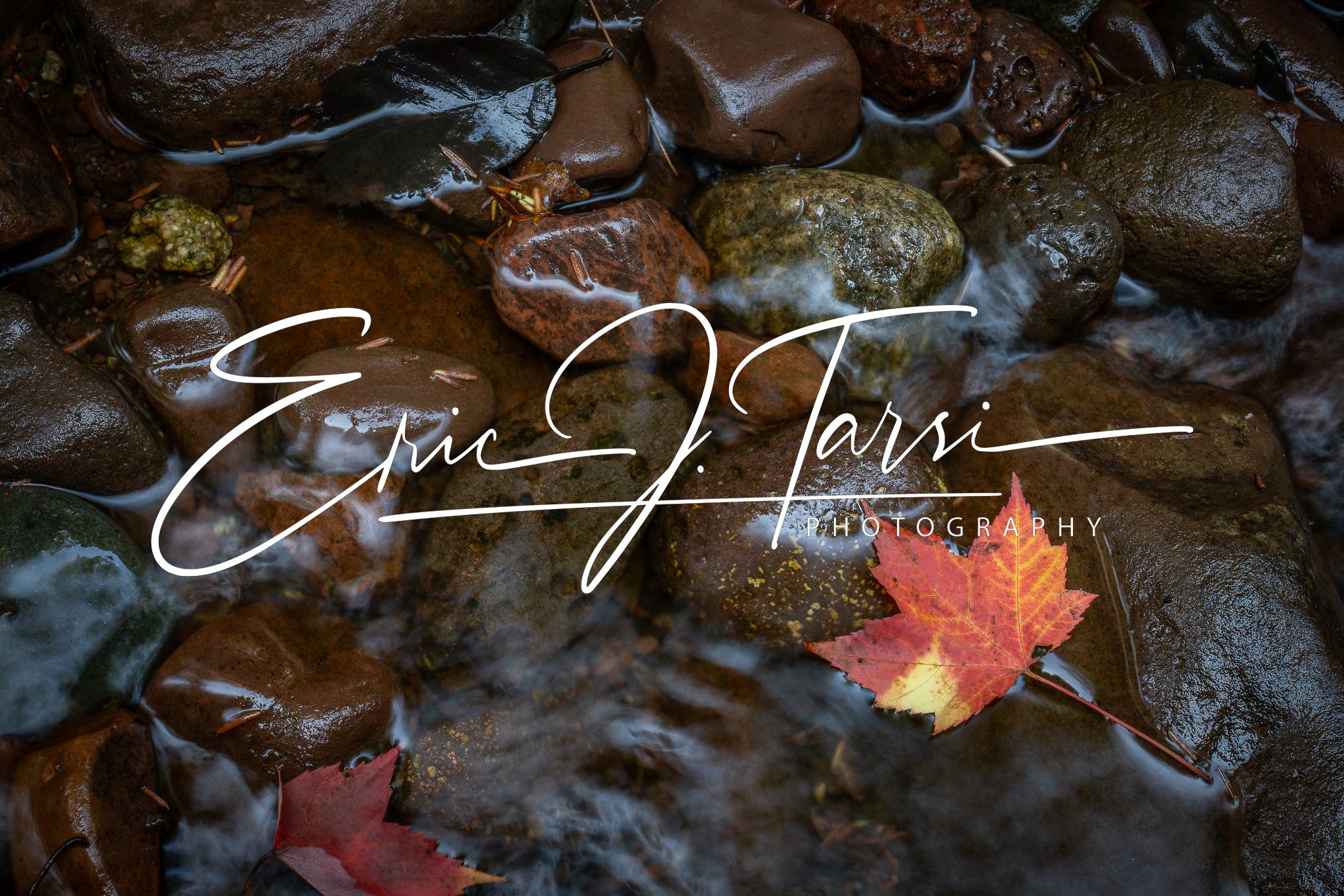 Stream Leaf (3x2).jpg