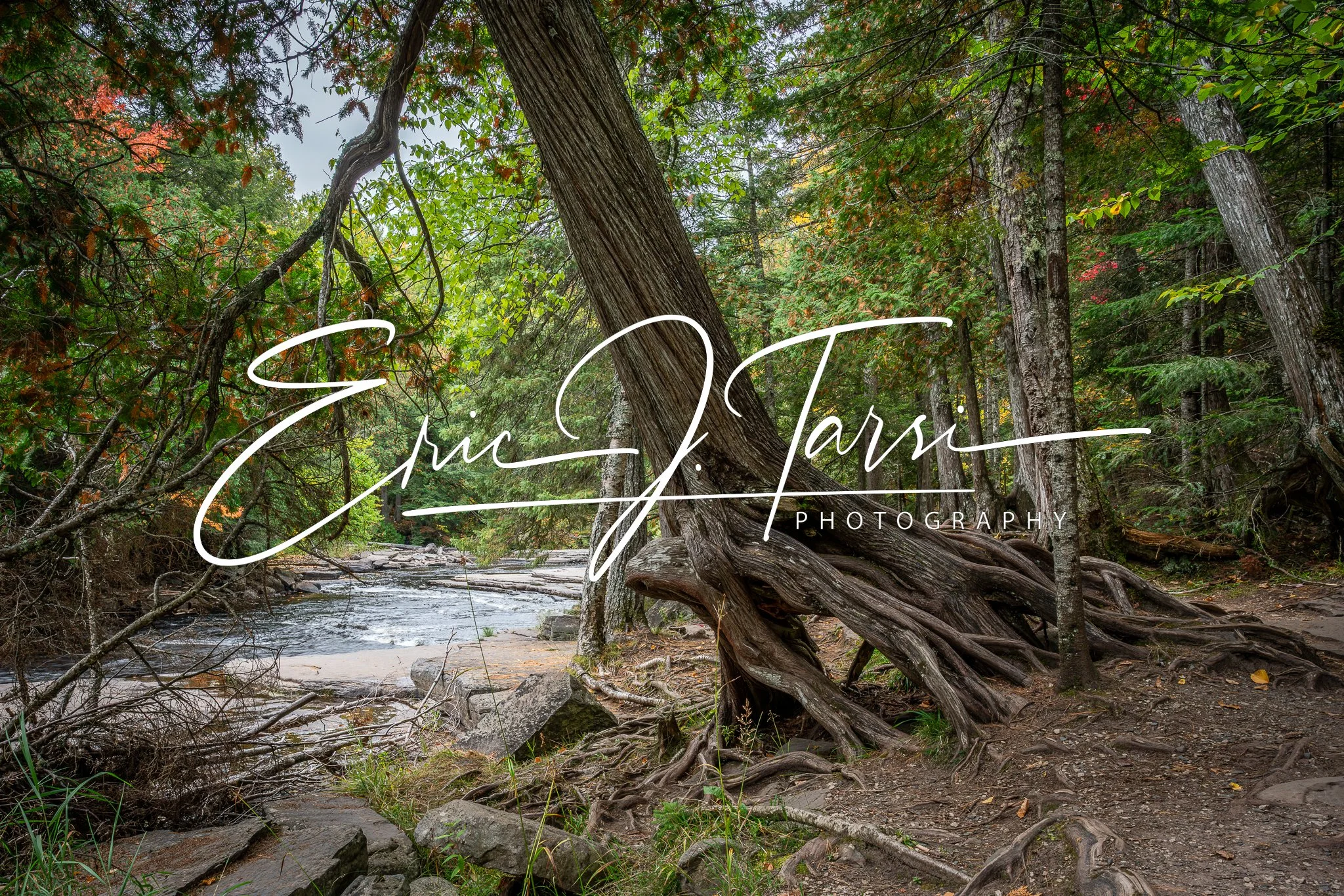 Strong Hold (3x2).jpg