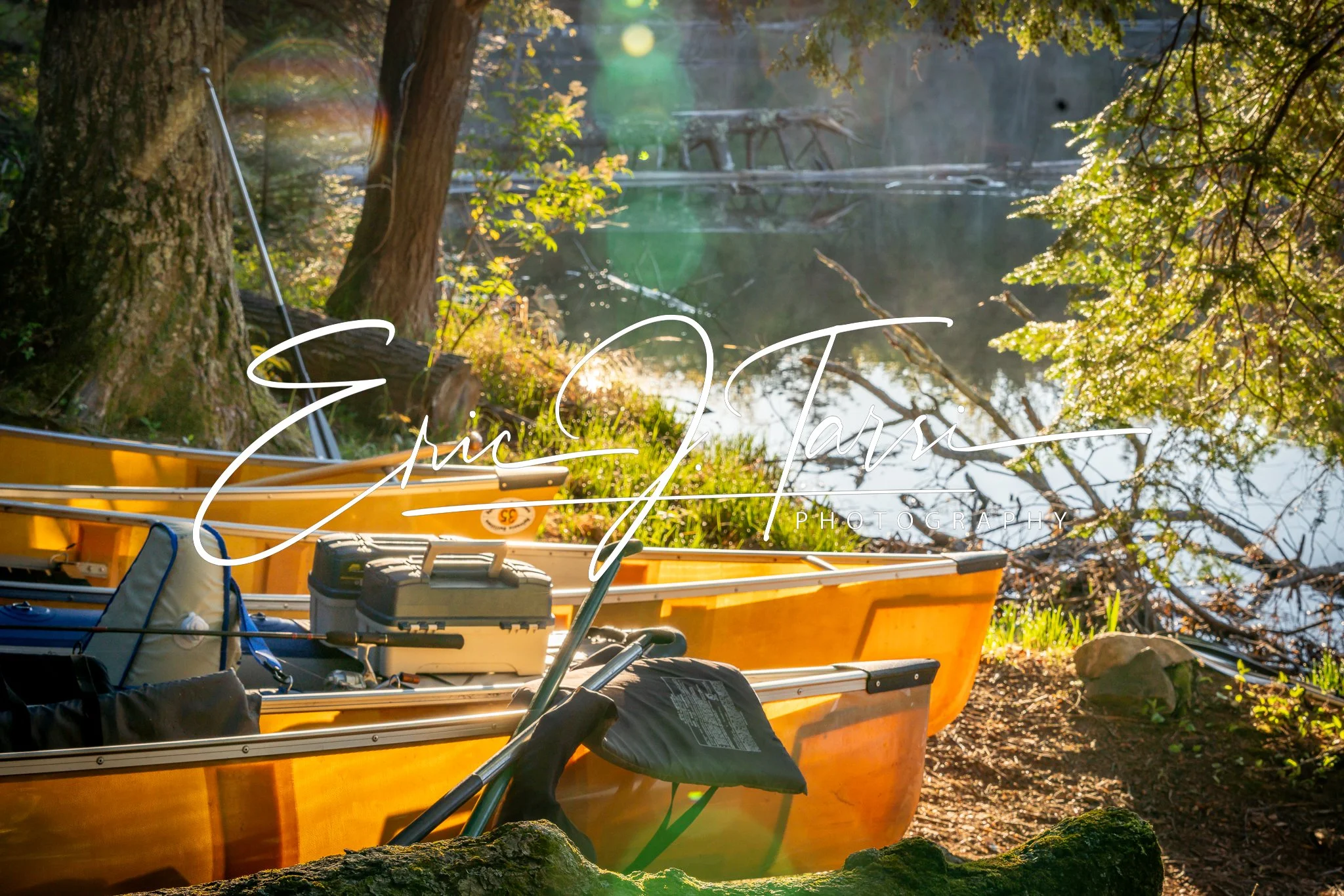 Fishing This Morning.jpg