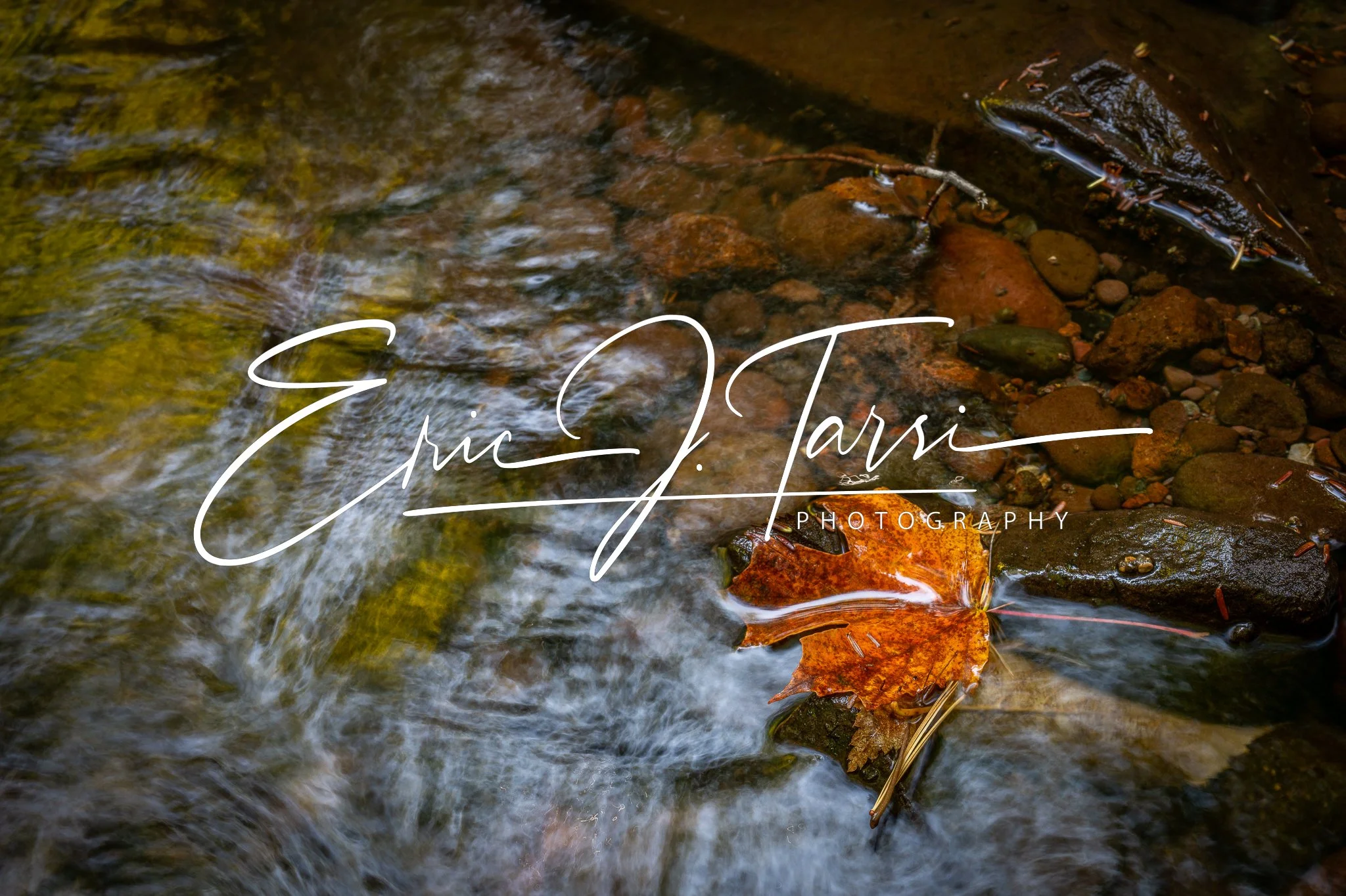 Stream Leaf 2  (3x2).jpg