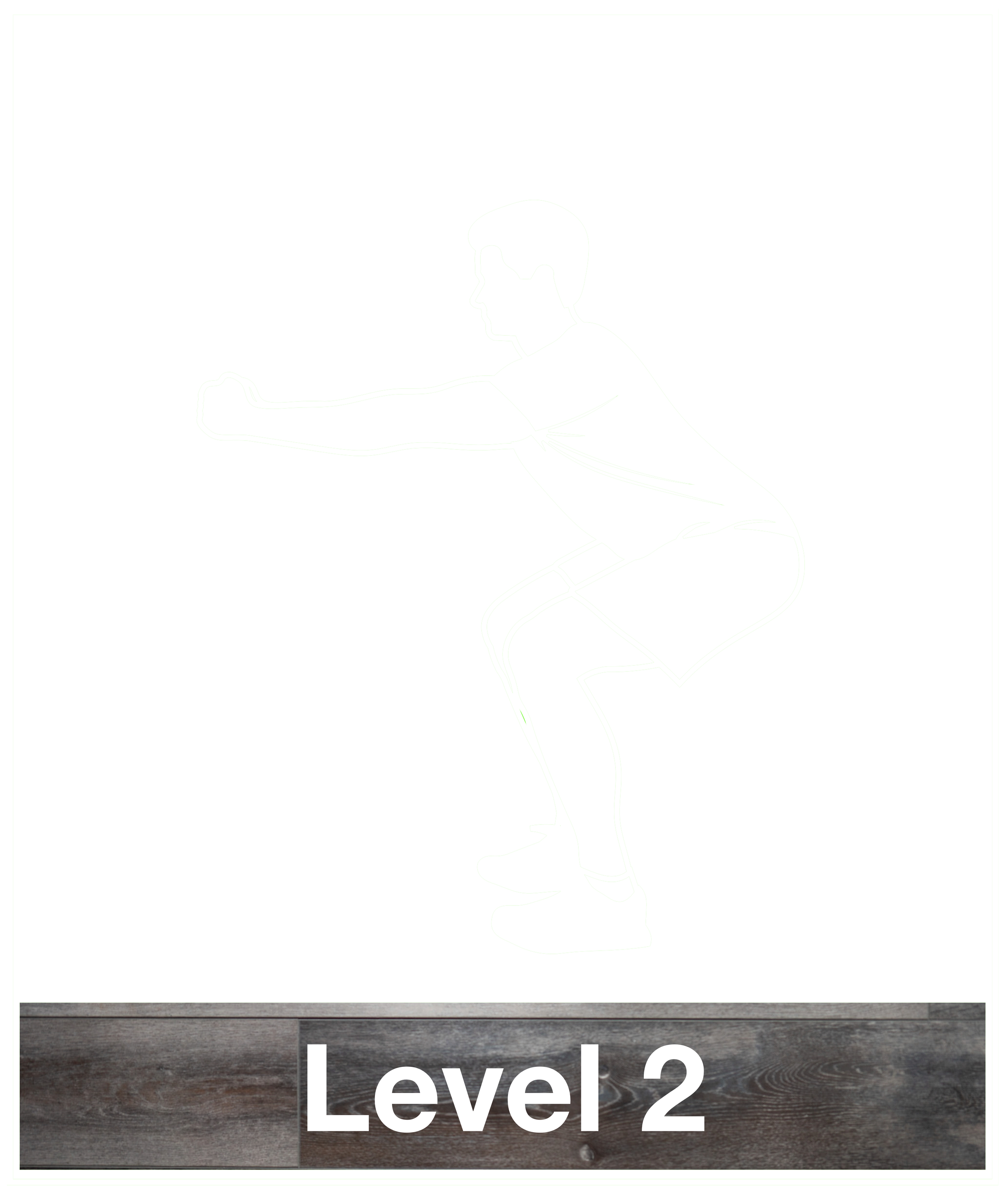 Graphic - Training Level 2 with label PNG.png
