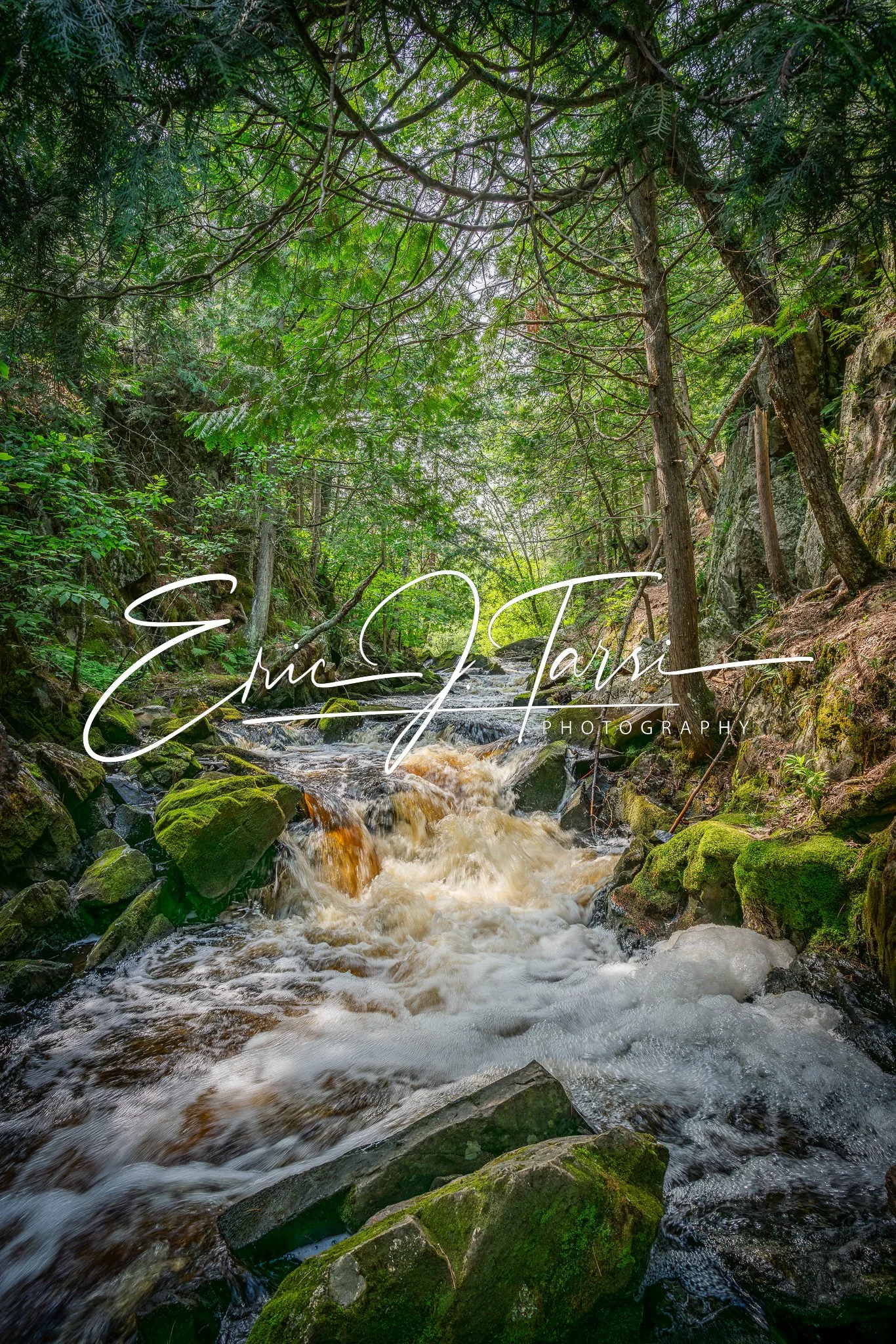 Smalley Falls 2x3 Display.jpg