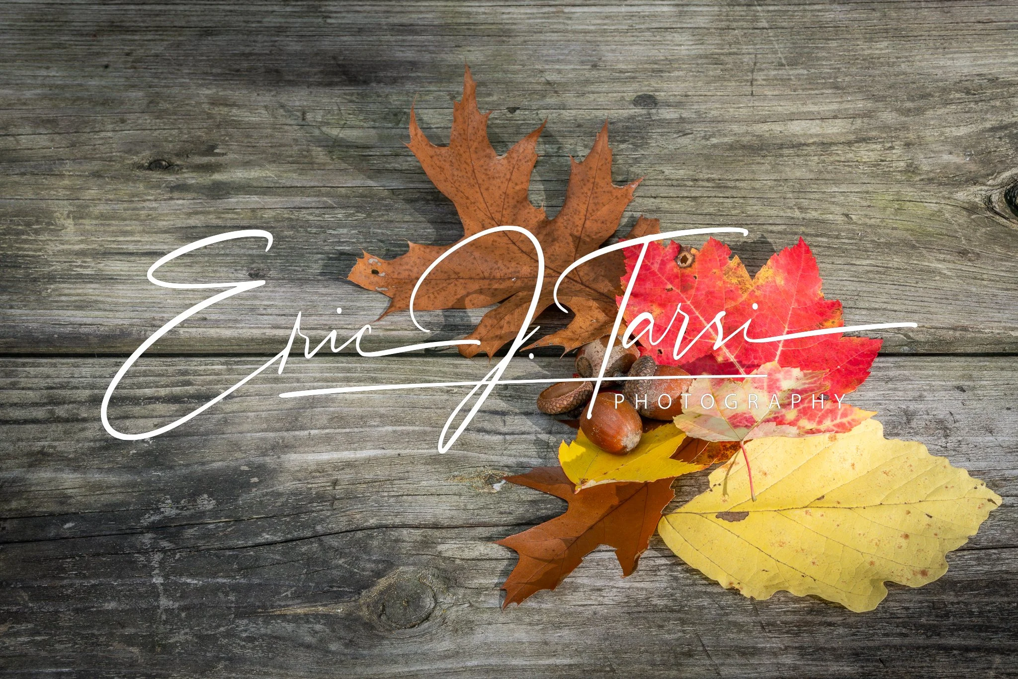 Table Leaves (3x2).jpg