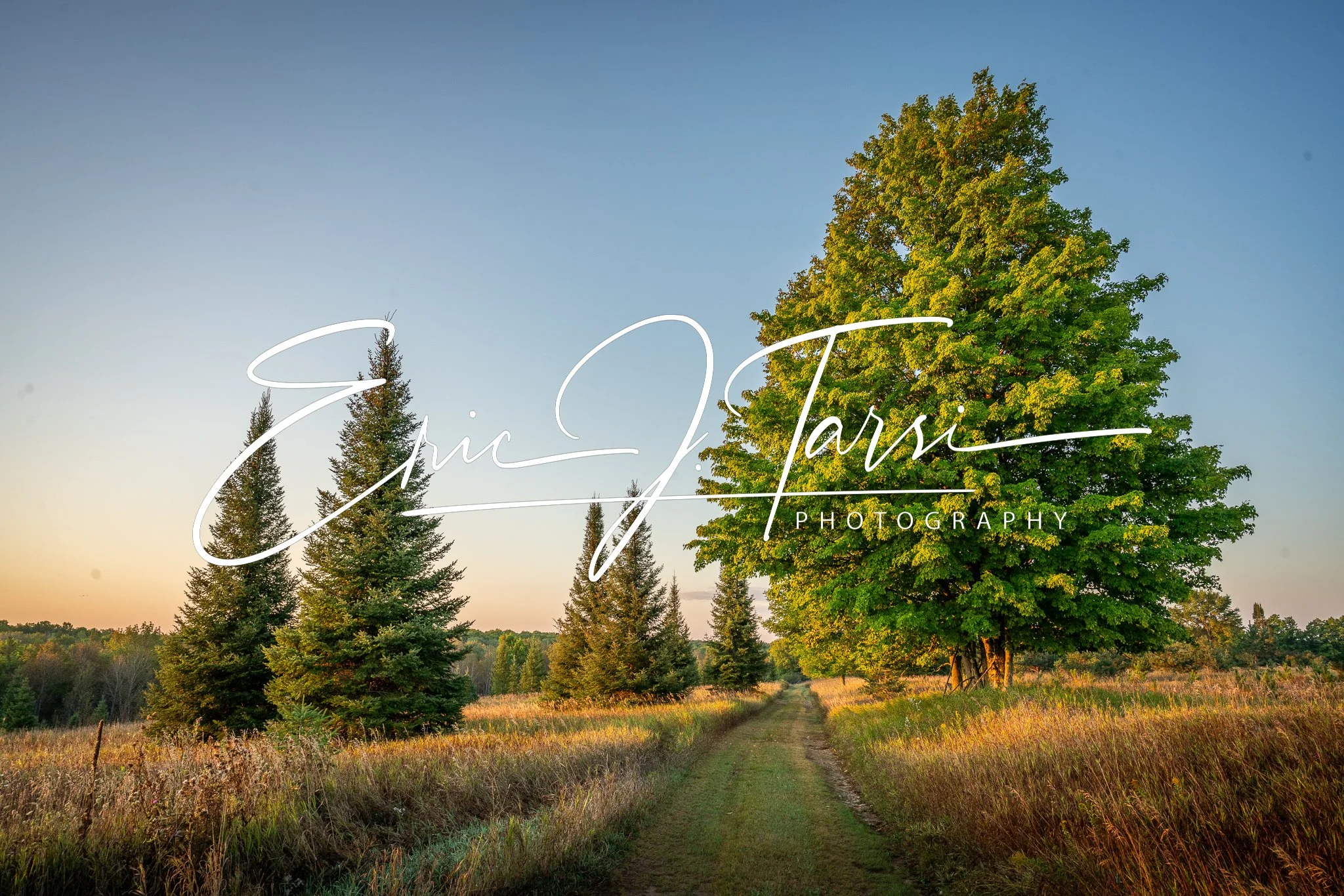 Daggett Sunset (3x2)-1.jpg